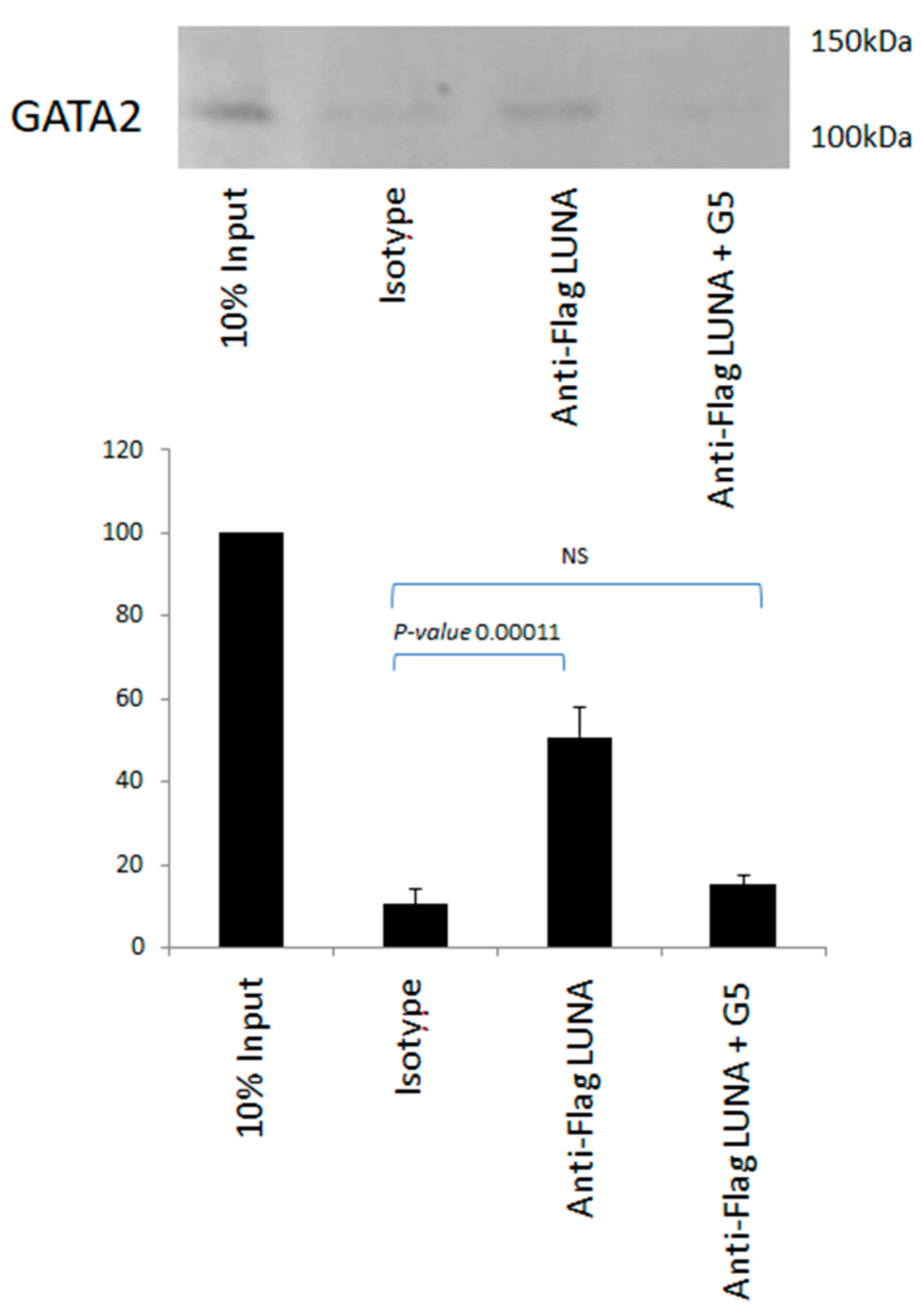 Viruses 15 01875 g004