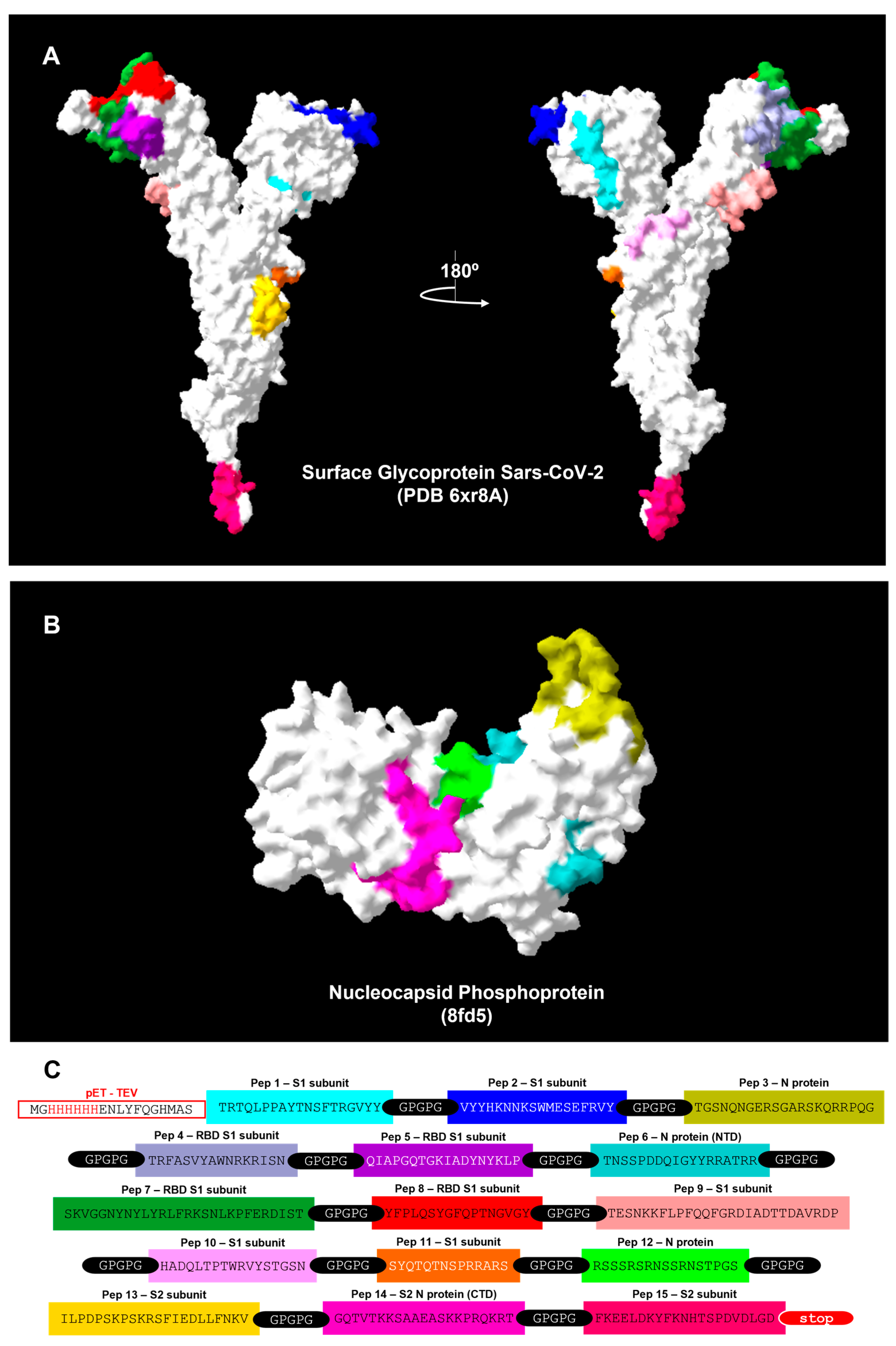 Viruses 15 01877 g001