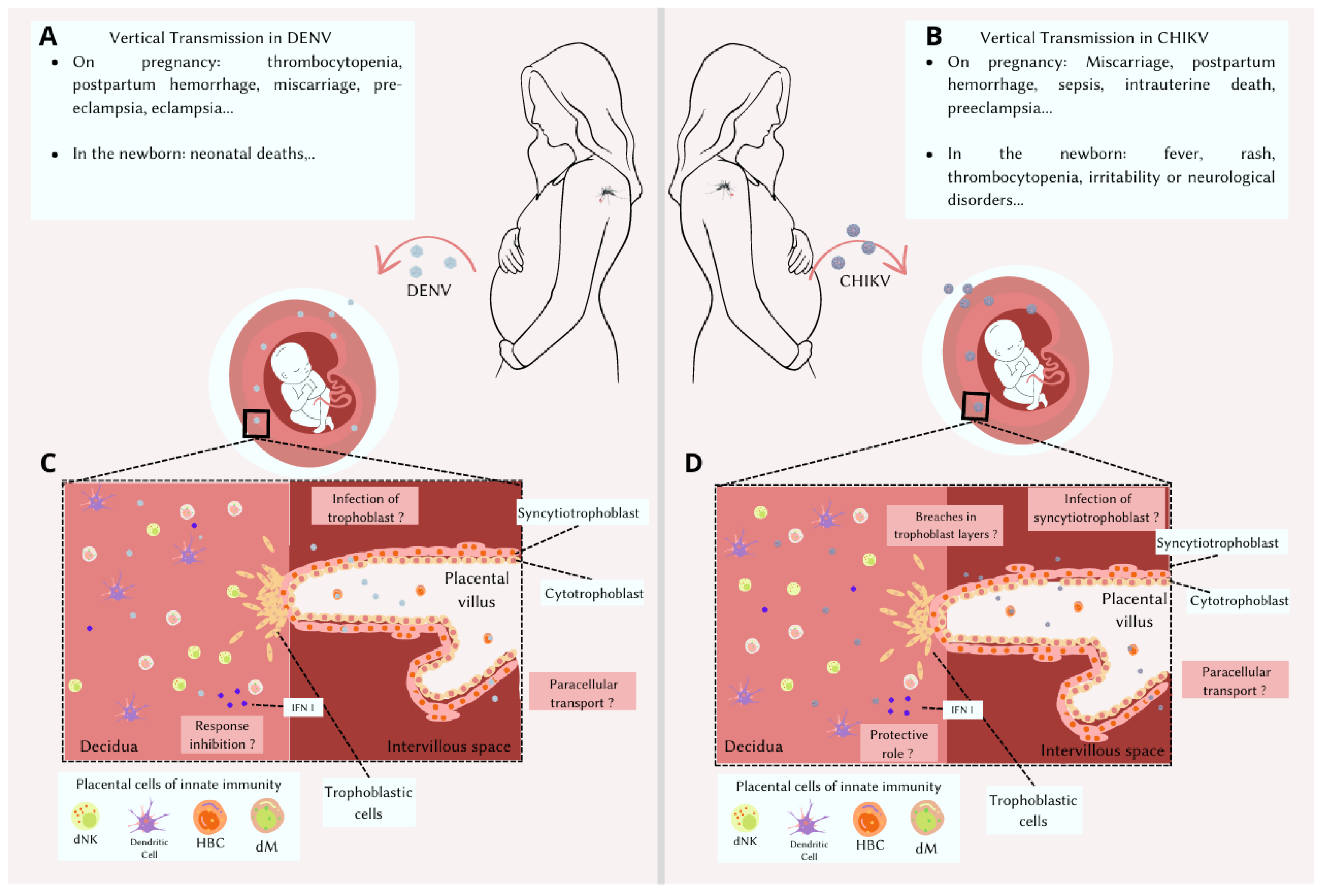 Viruses 15 01885 g001