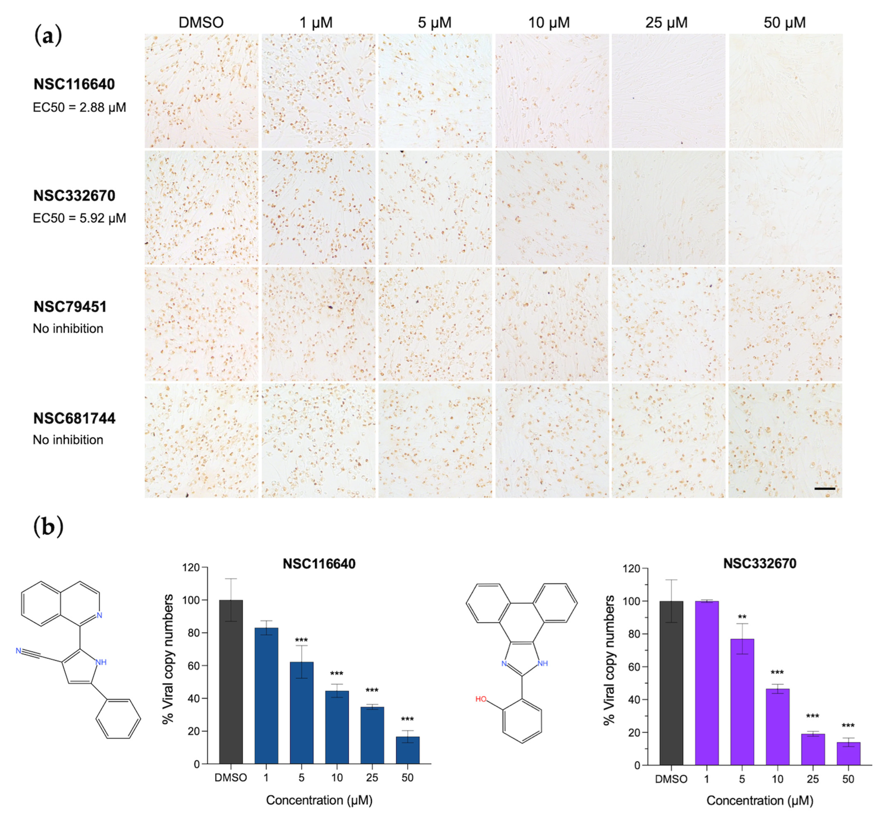 Viruses 15 01887 g001 Viruses 15 01887 g001