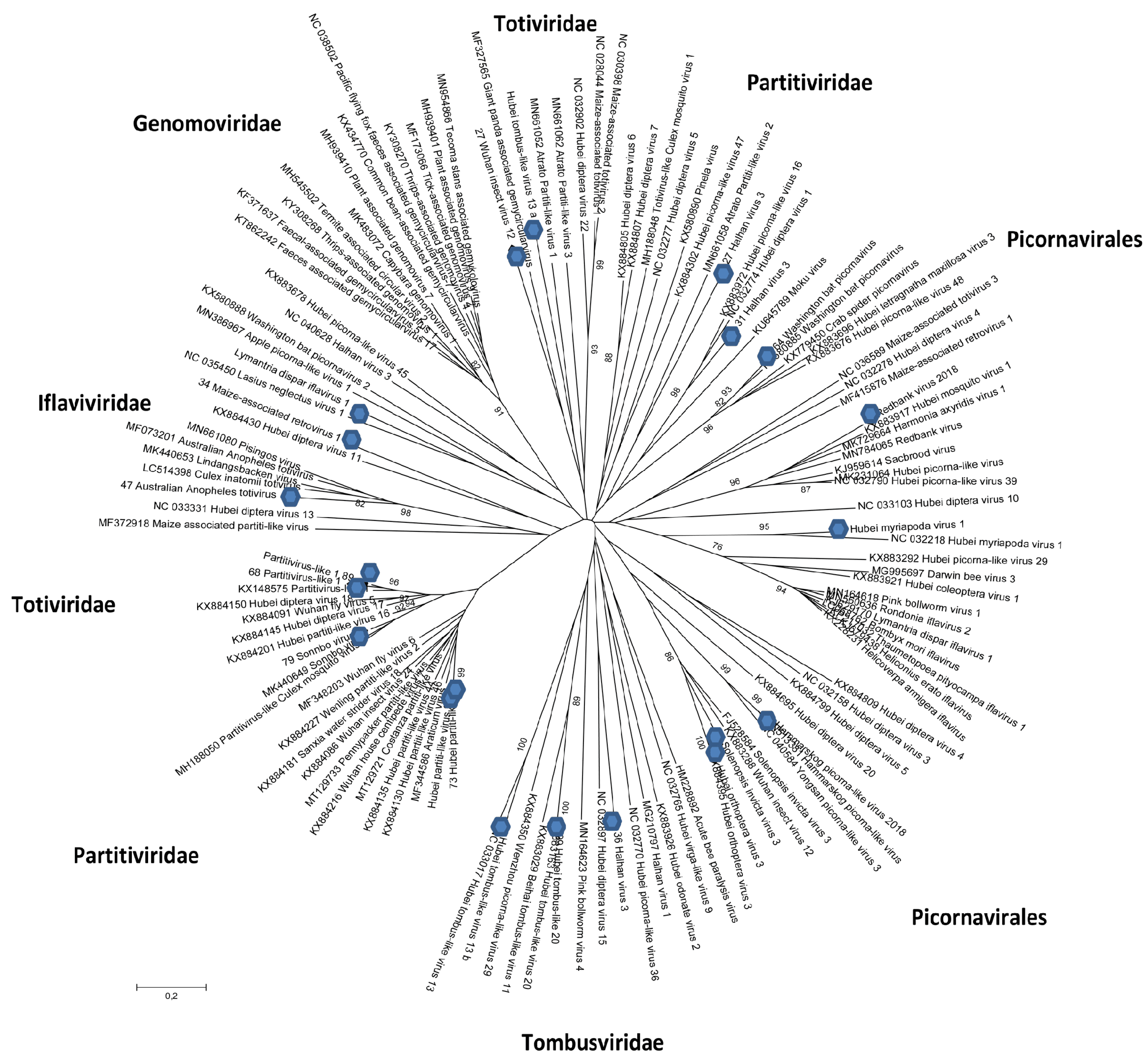 Viruses 15 01896 g004