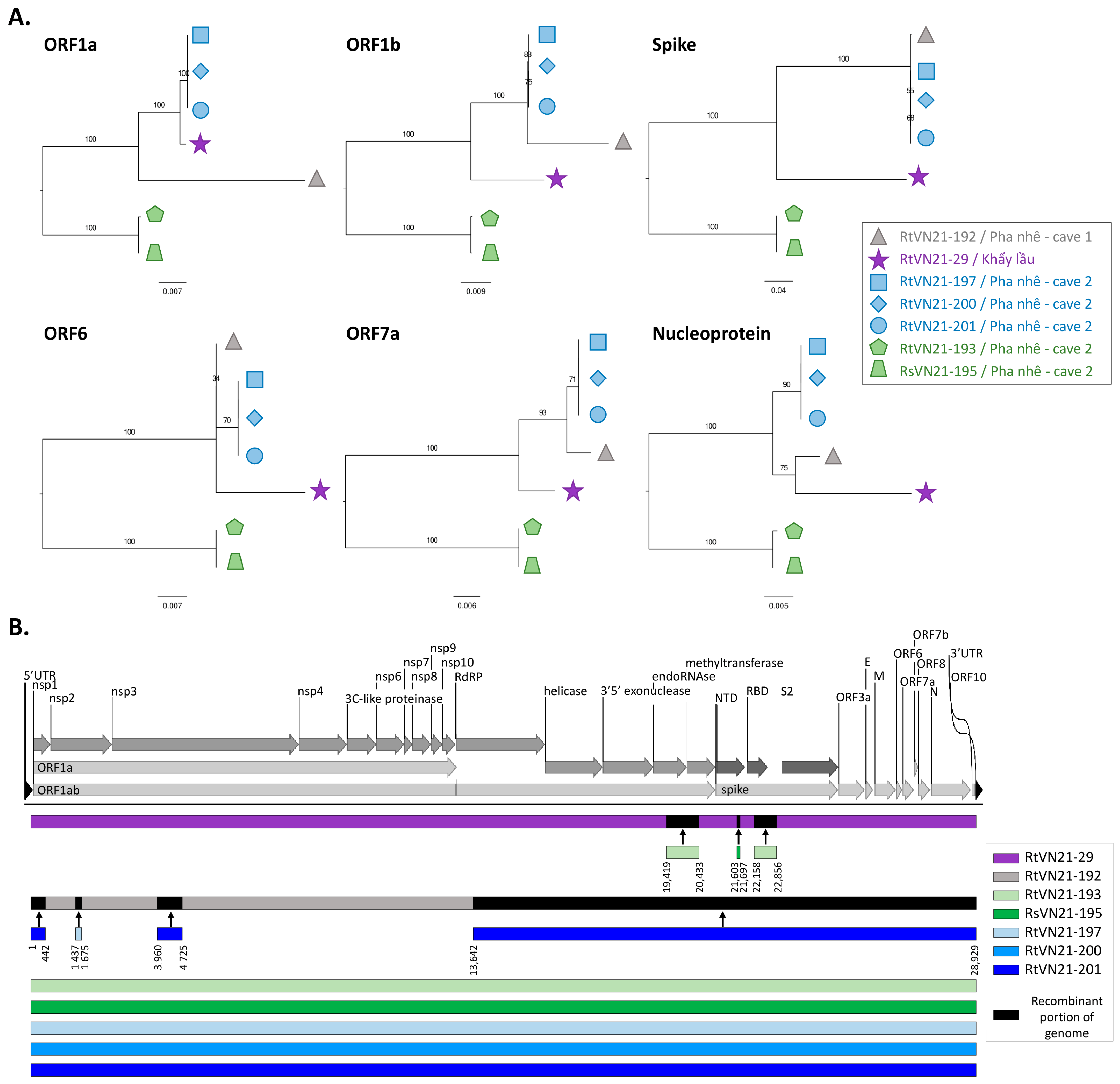 Viruses 15 01897 g002