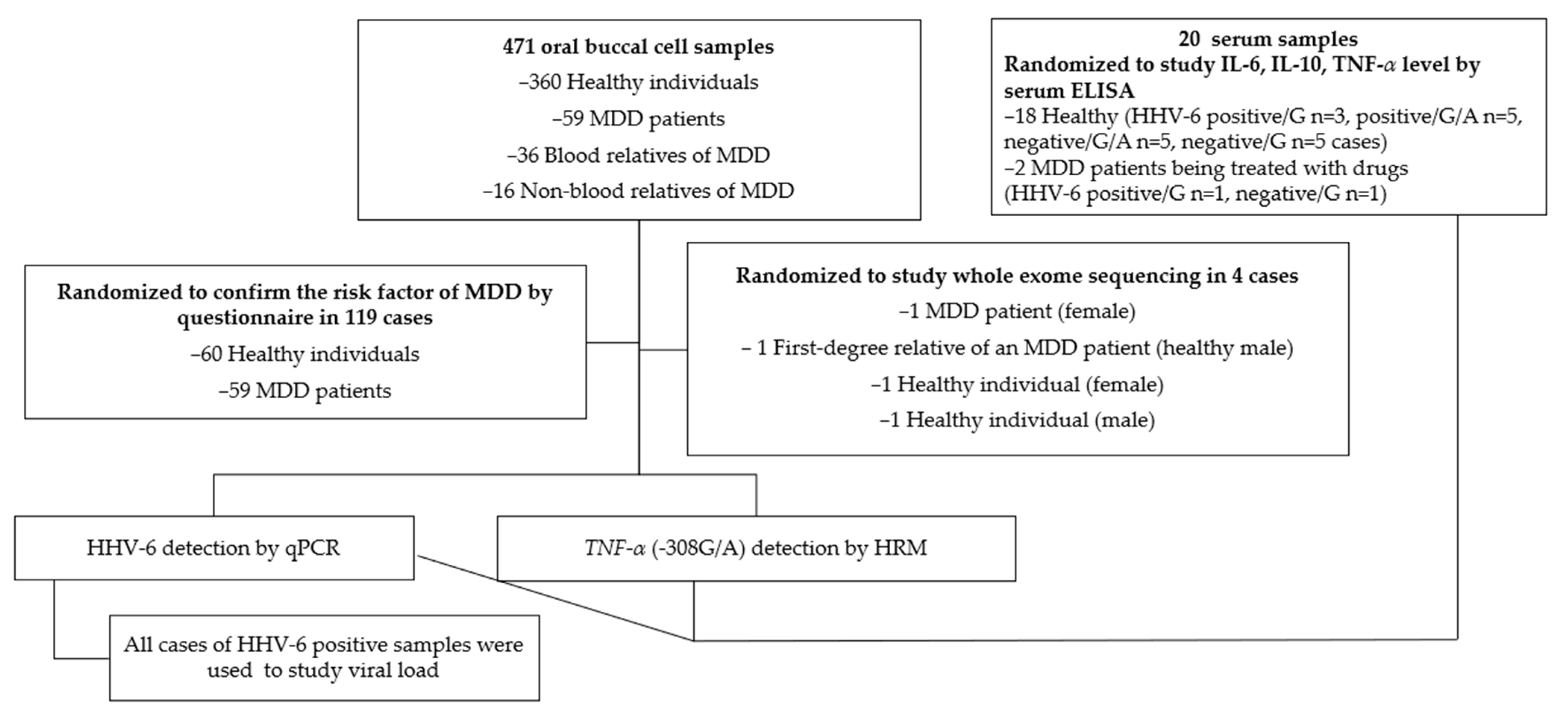 Viruses 15 01898 g001