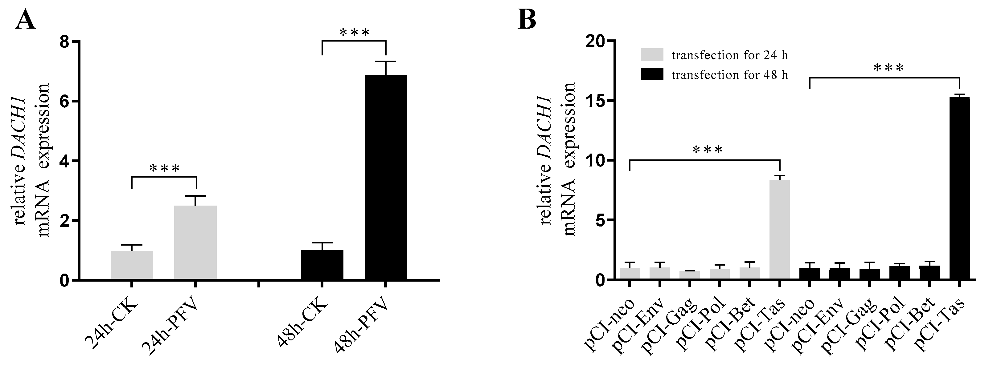 Viruses 15 01899 g001