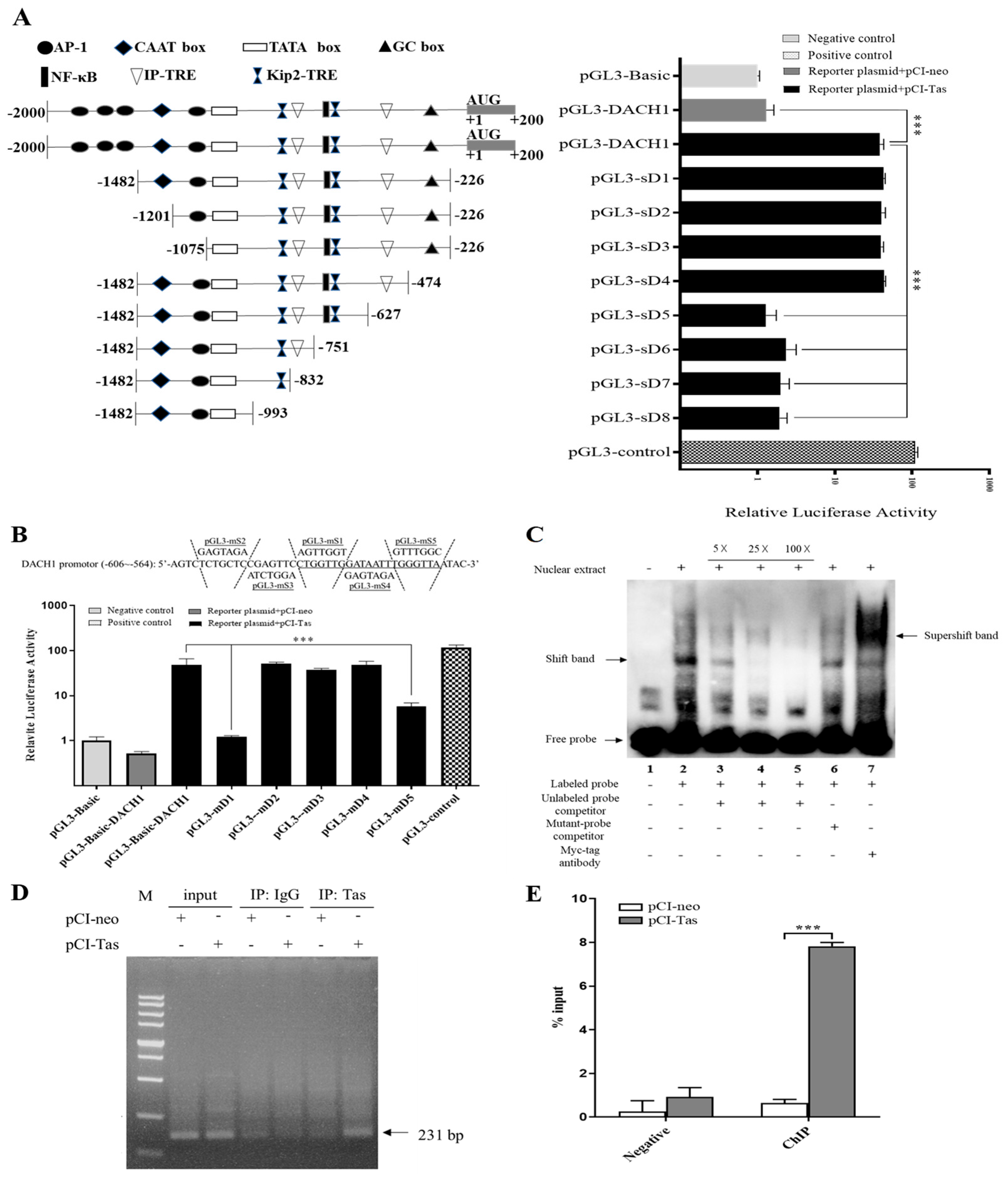 Viruses 15 01899 g002