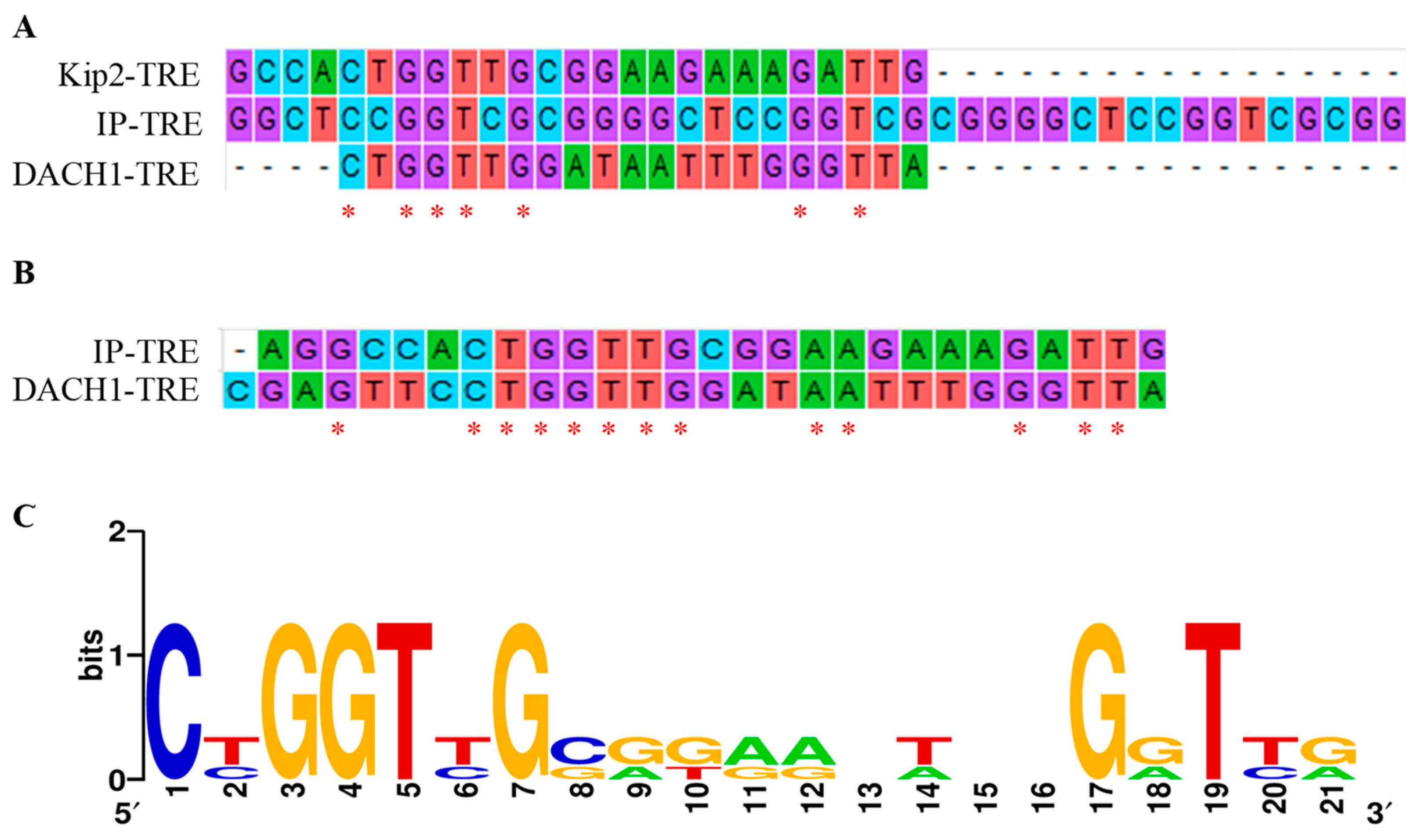 Viruses 15 01899 g003