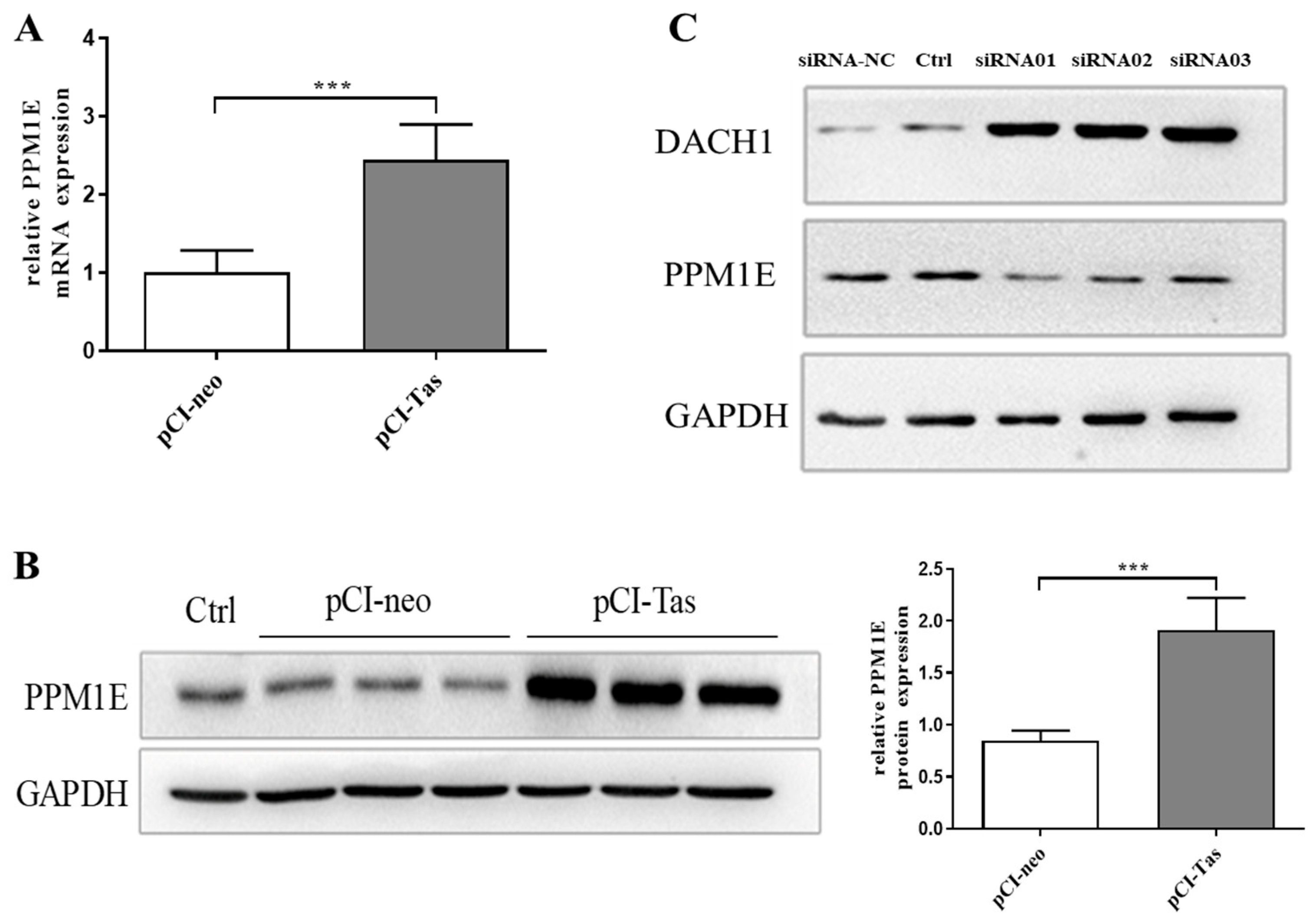 Viruses 15 01899 g006