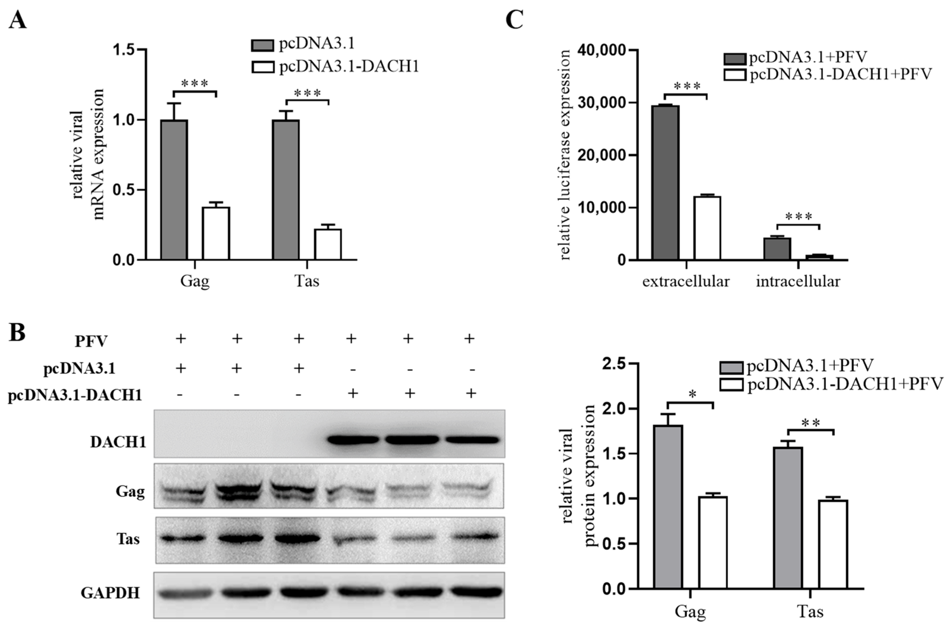 Viruses 15 01899 g007