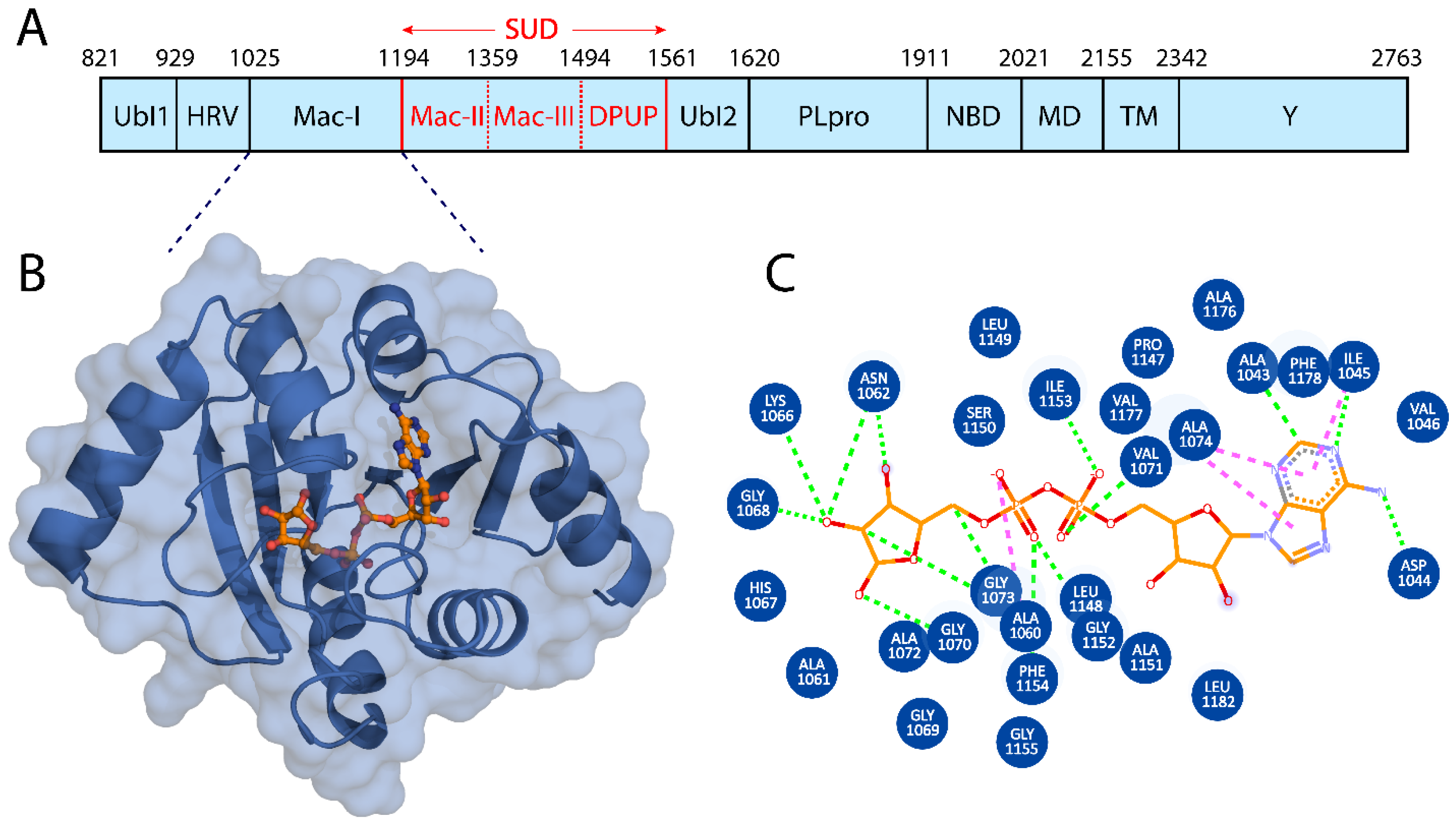 Viruses 15 01907 g001