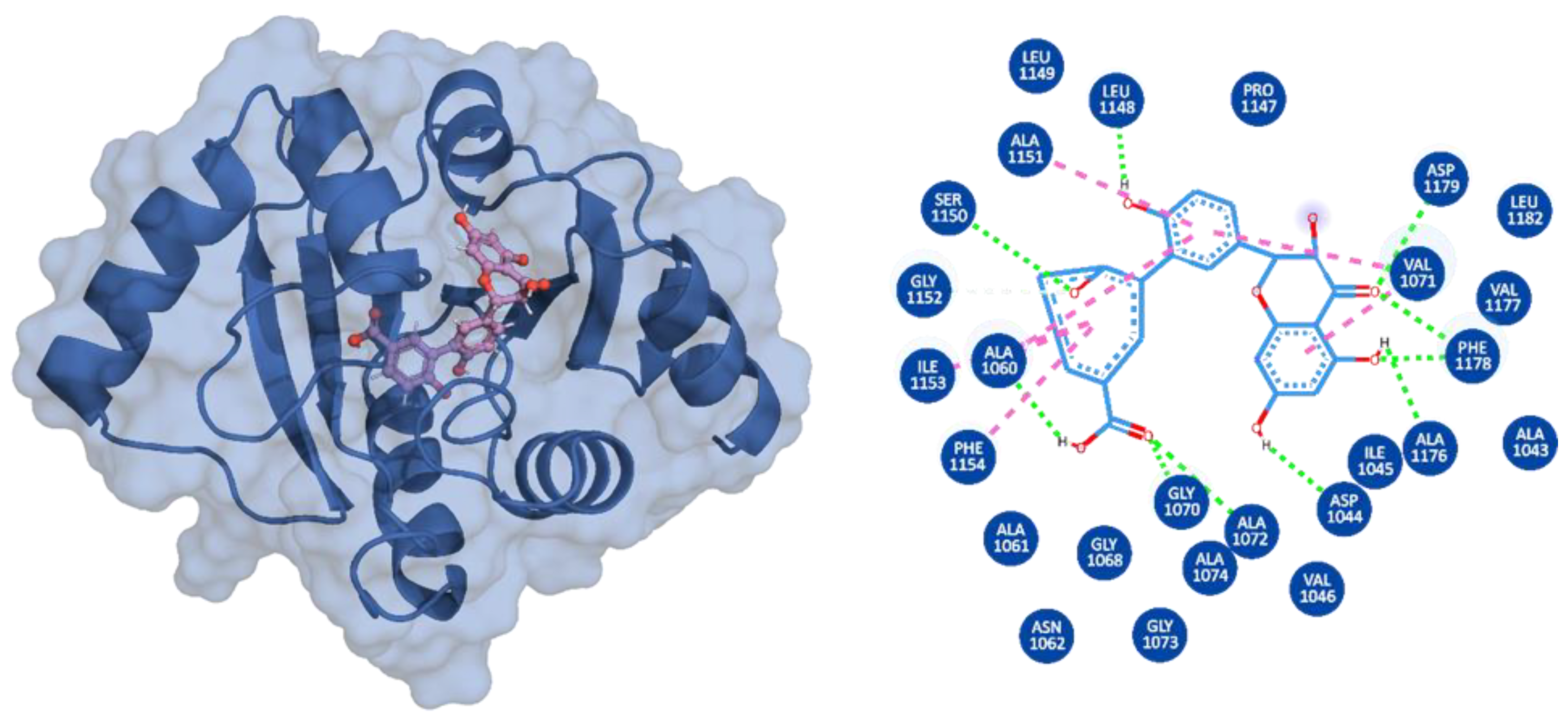 Viruses 15 01907 g002