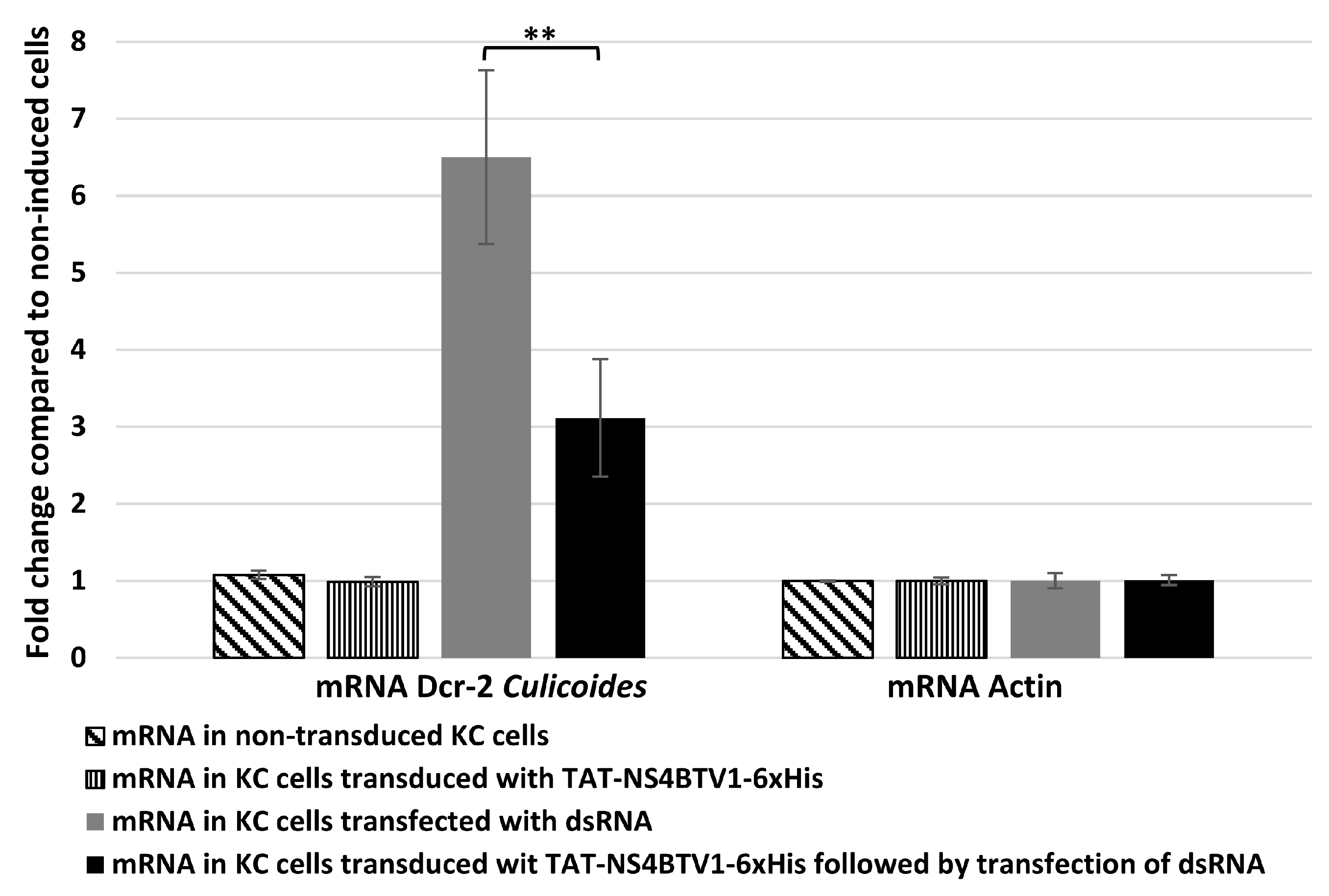 Viruses 15 01908 g005
