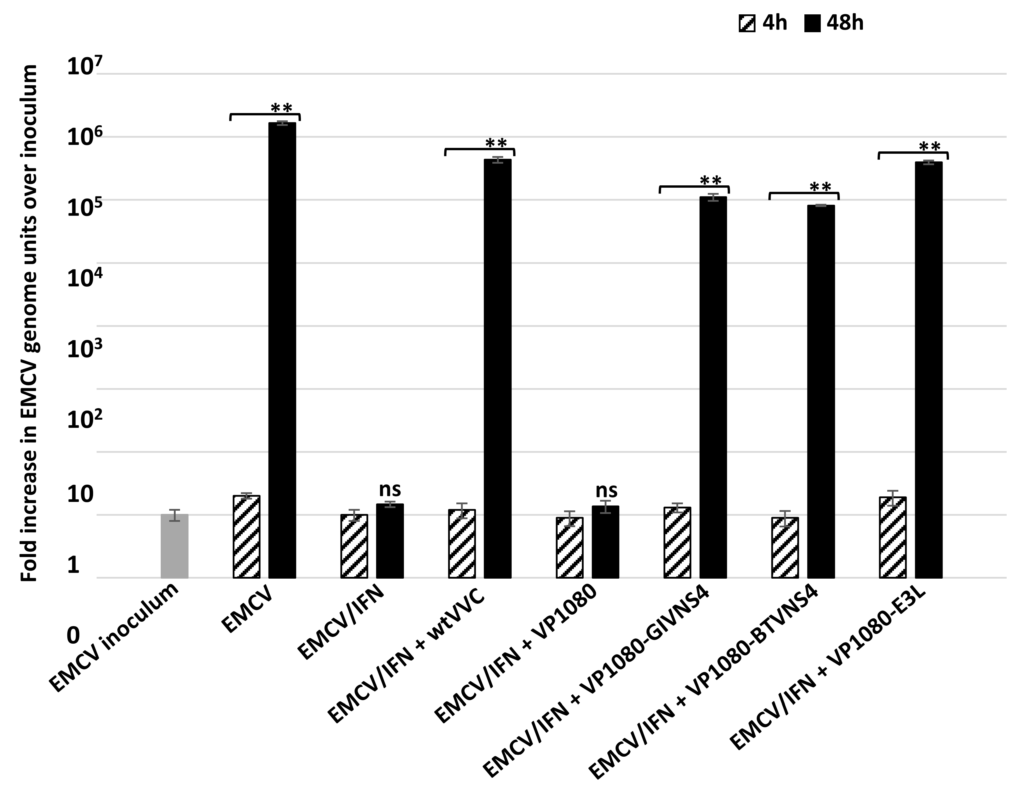Viruses 15 01908 g006