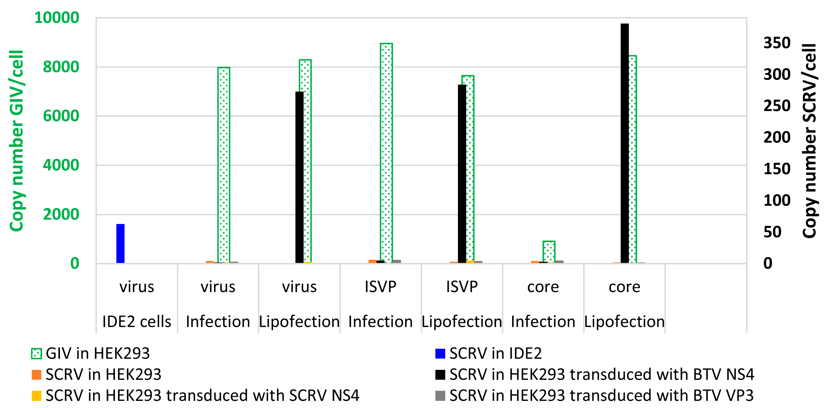 Viruses 15 01908 g011