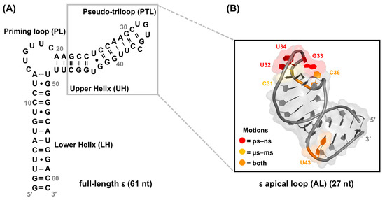 Viruses 15 01913 g007