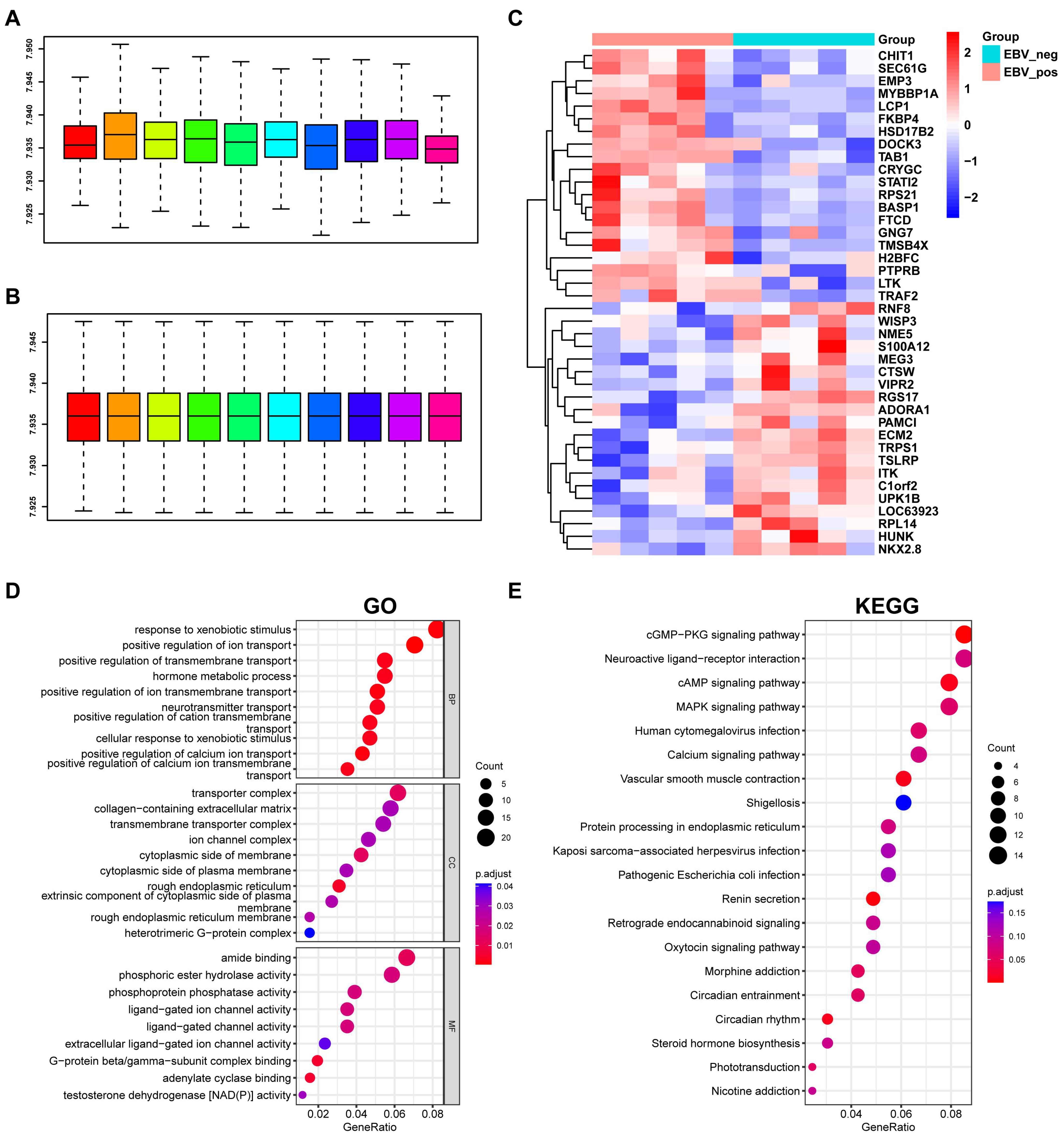 Viruses 15 01915 g001