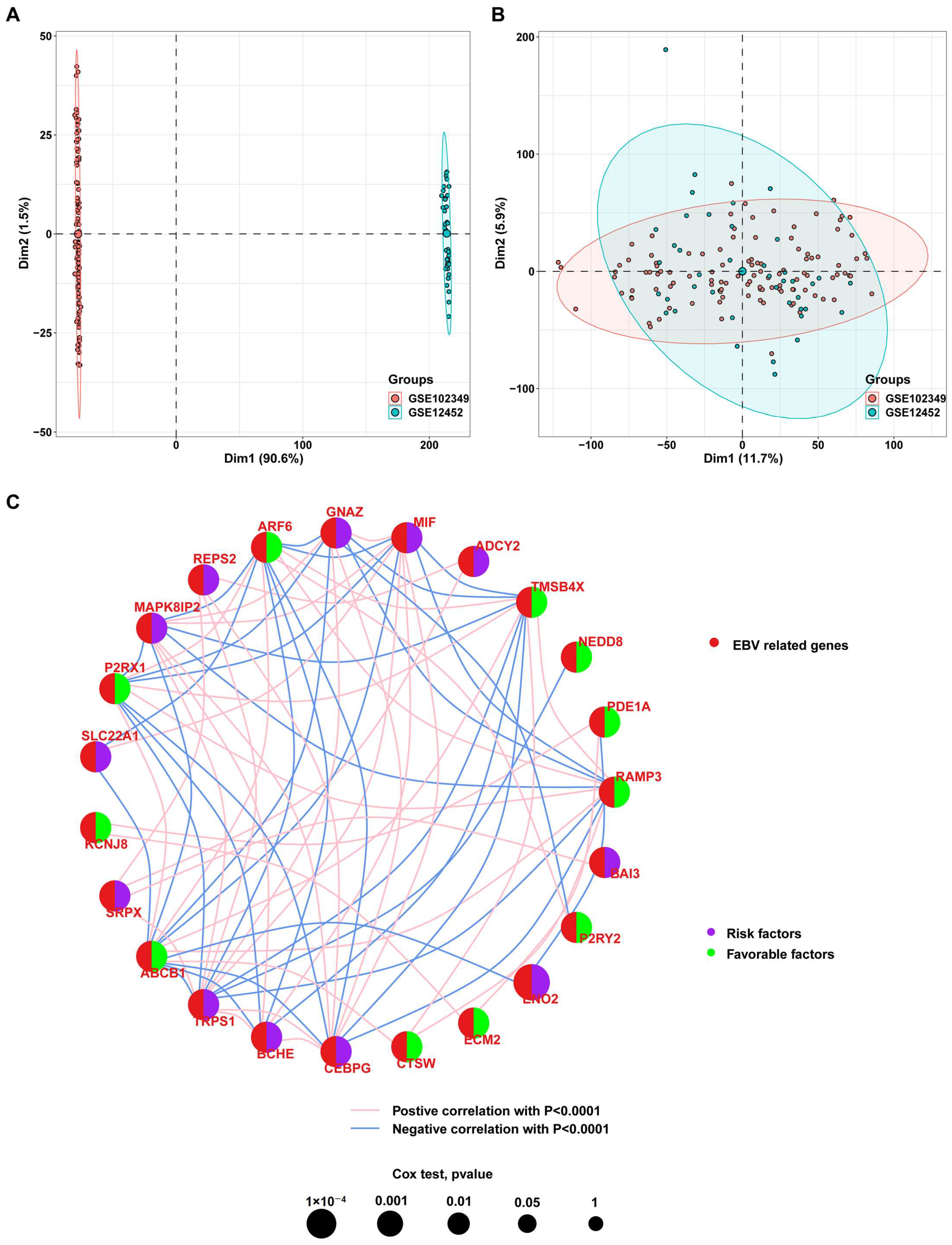 Viruses 15 01915 g002