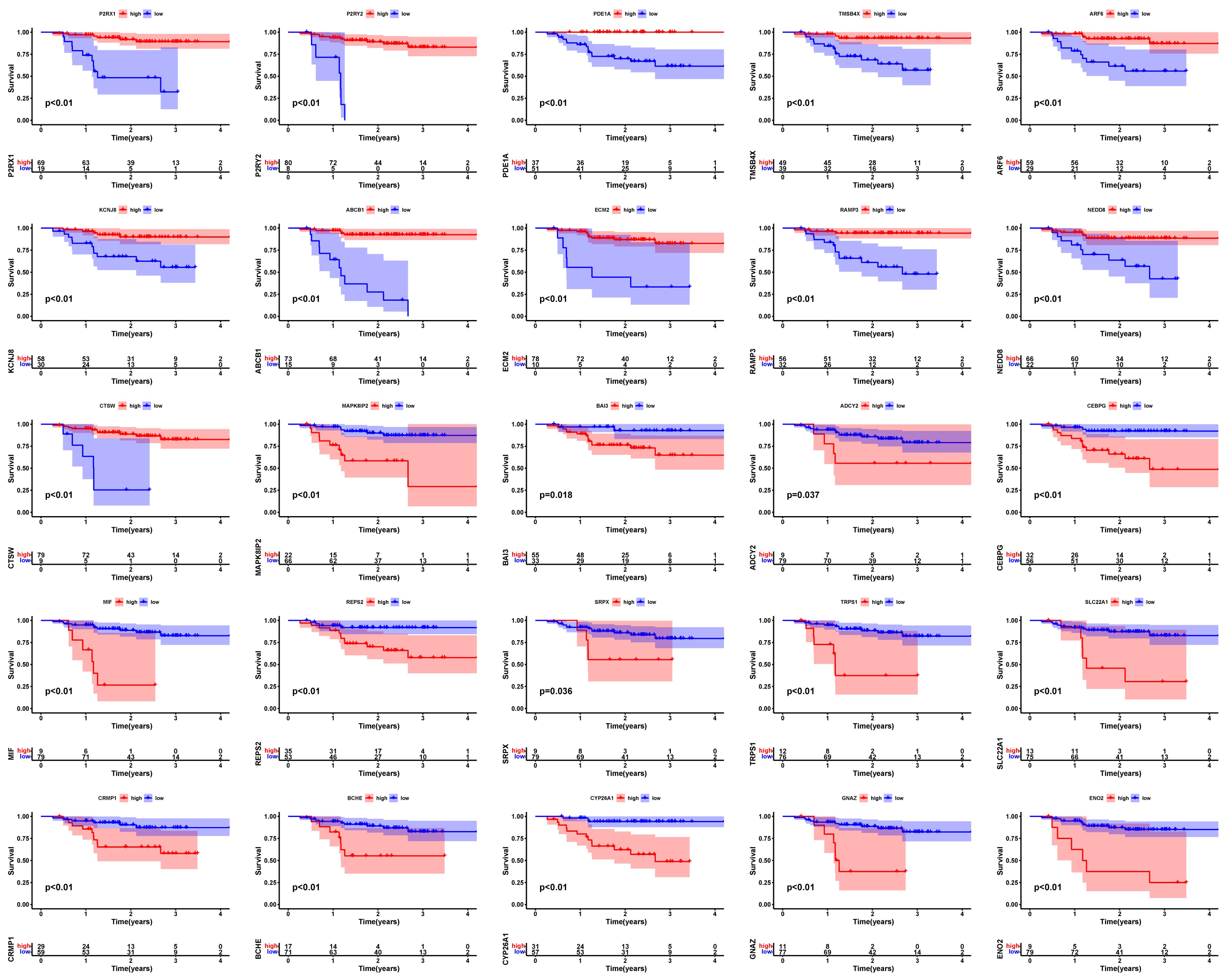 Viruses 15 01915 g003