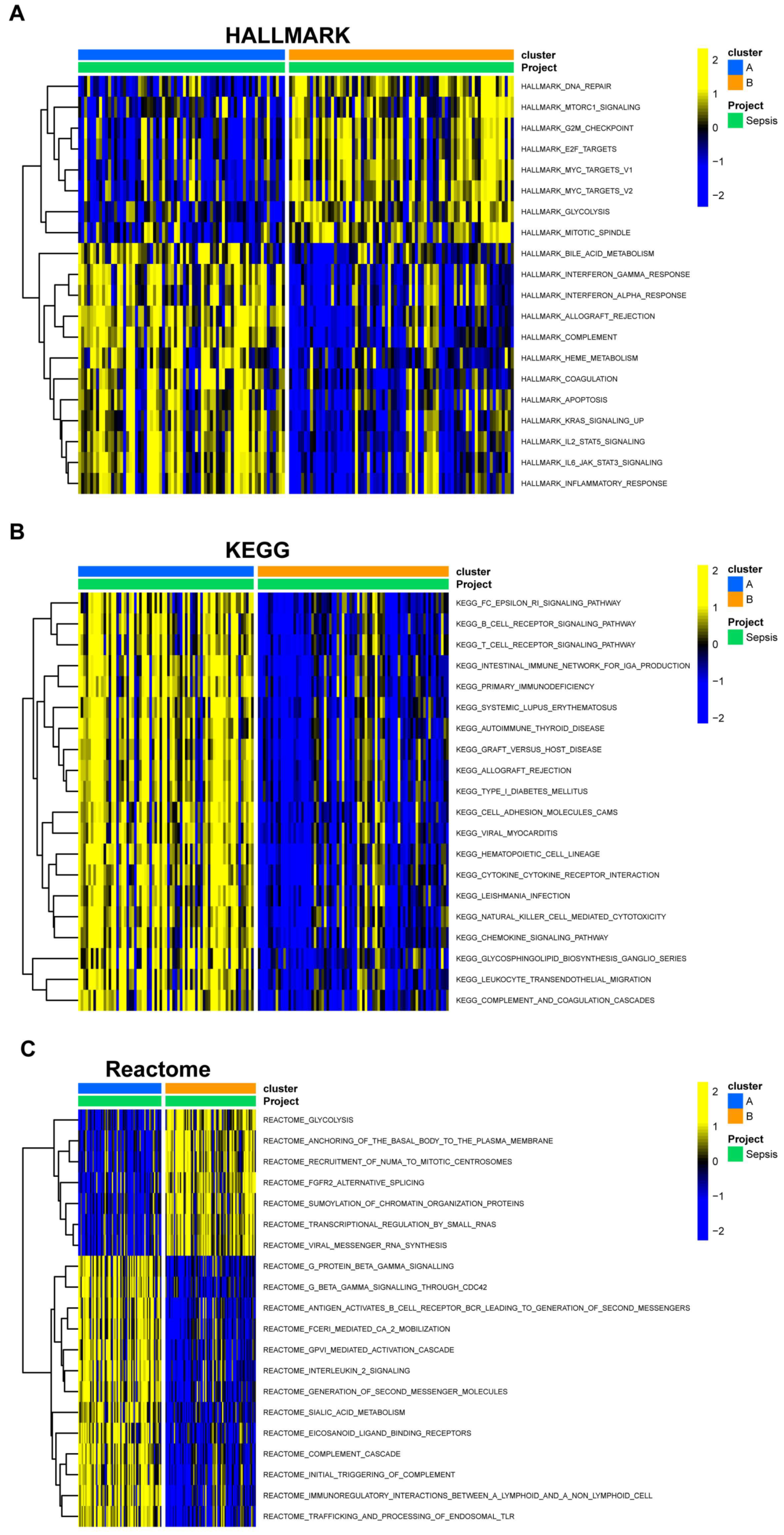 Viruses 15 01915 g005