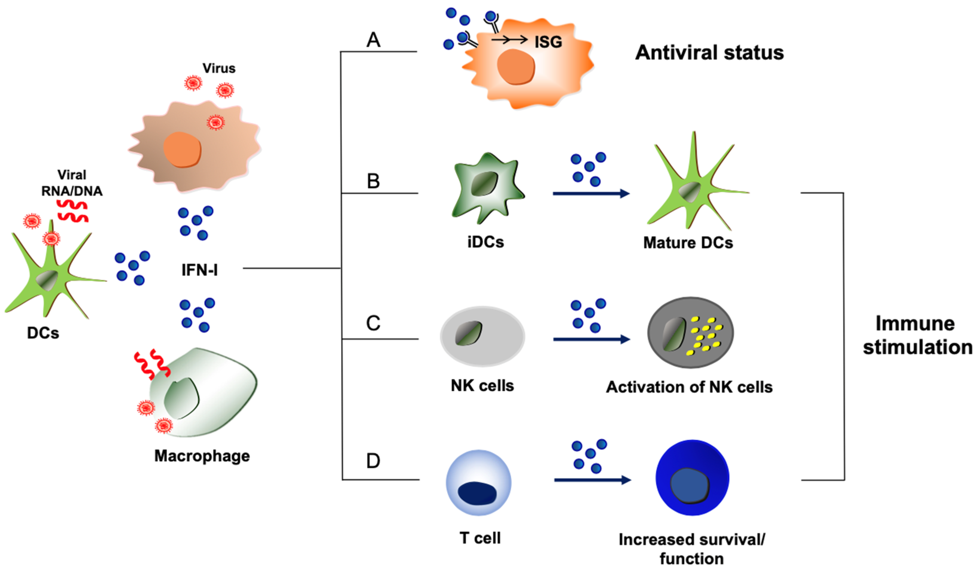 Viruses 15 01916 g001