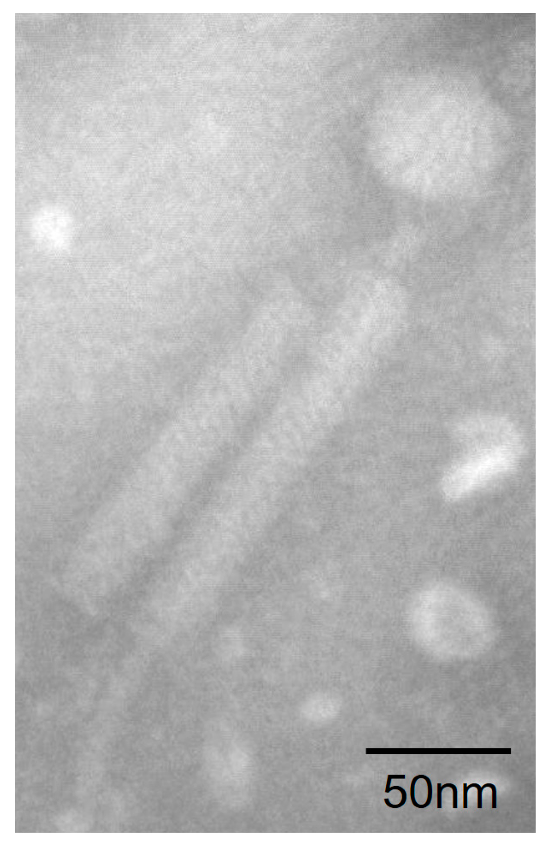 Viruses 15 01919 g001