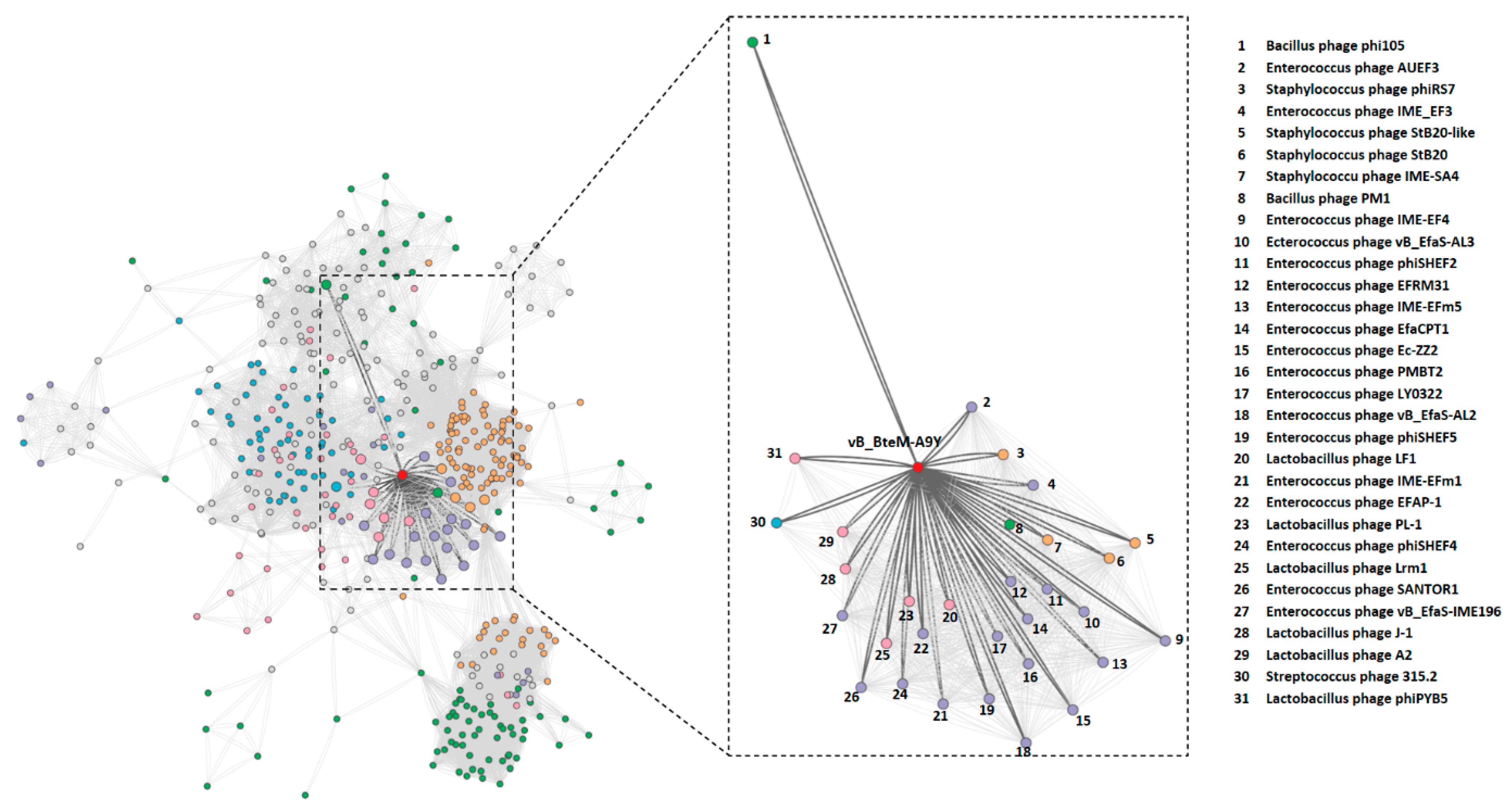 Viruses 15 01919 g004