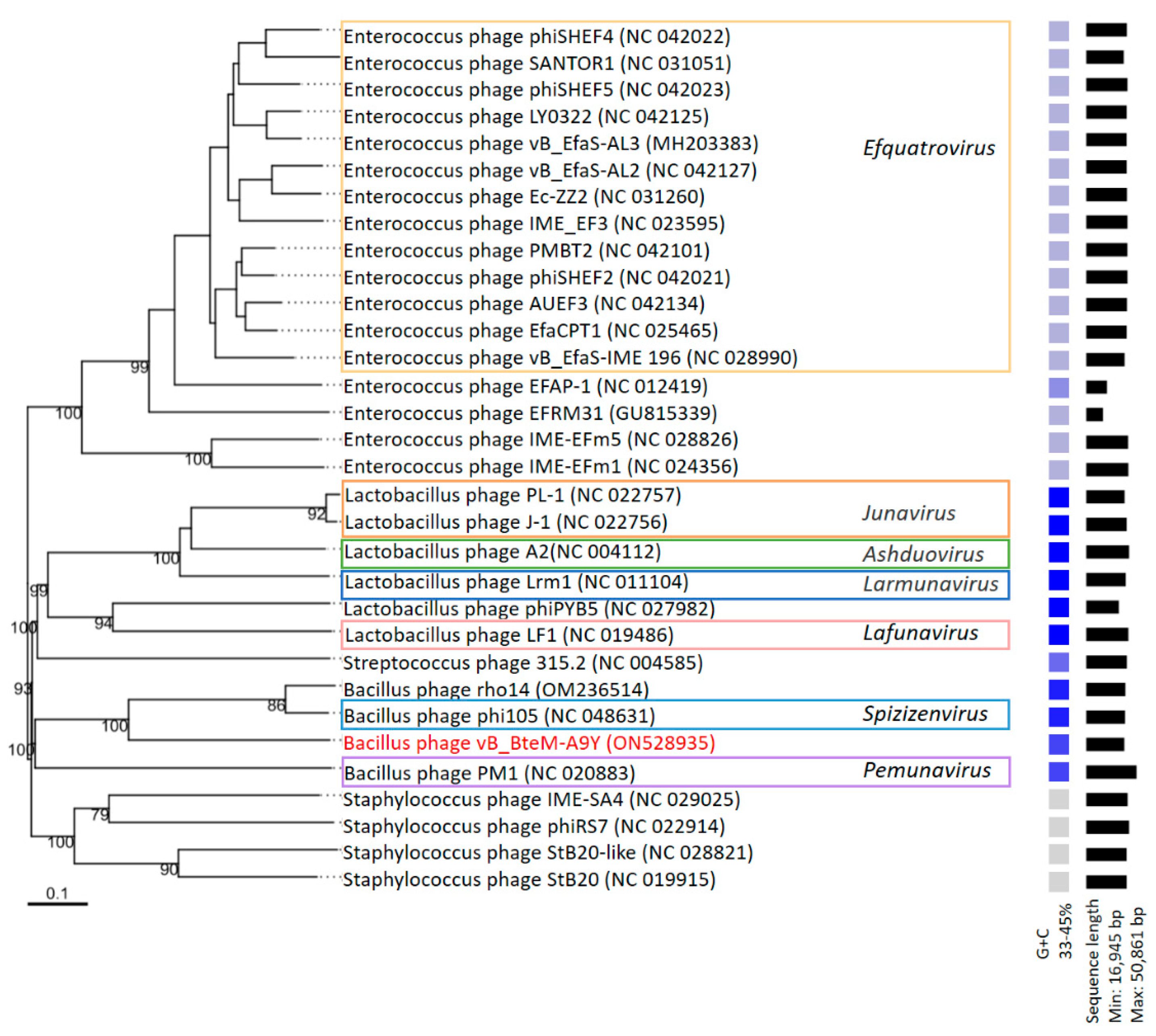 Viruses 15 01919 g005