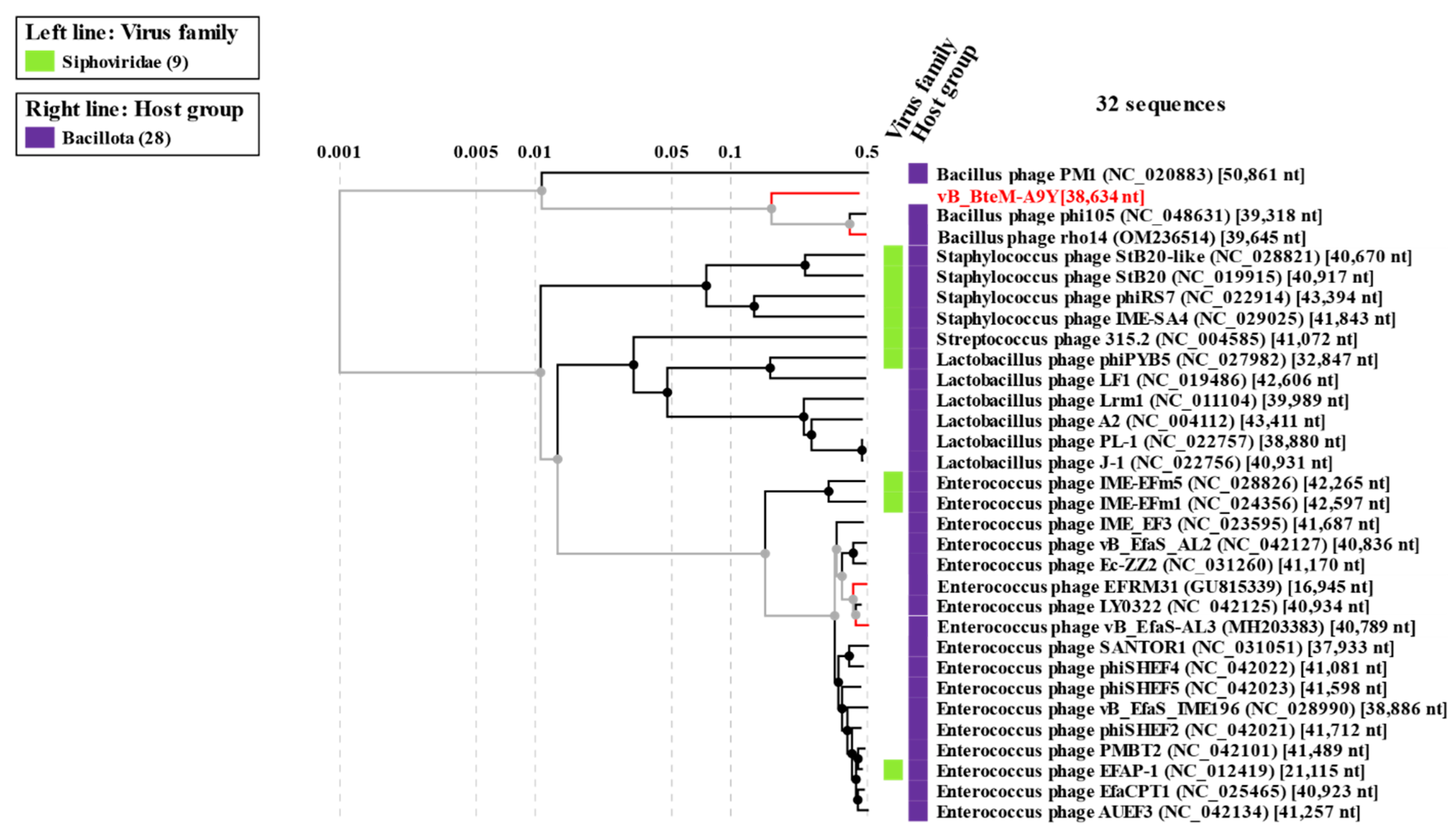 Viruses 15 01919 g006