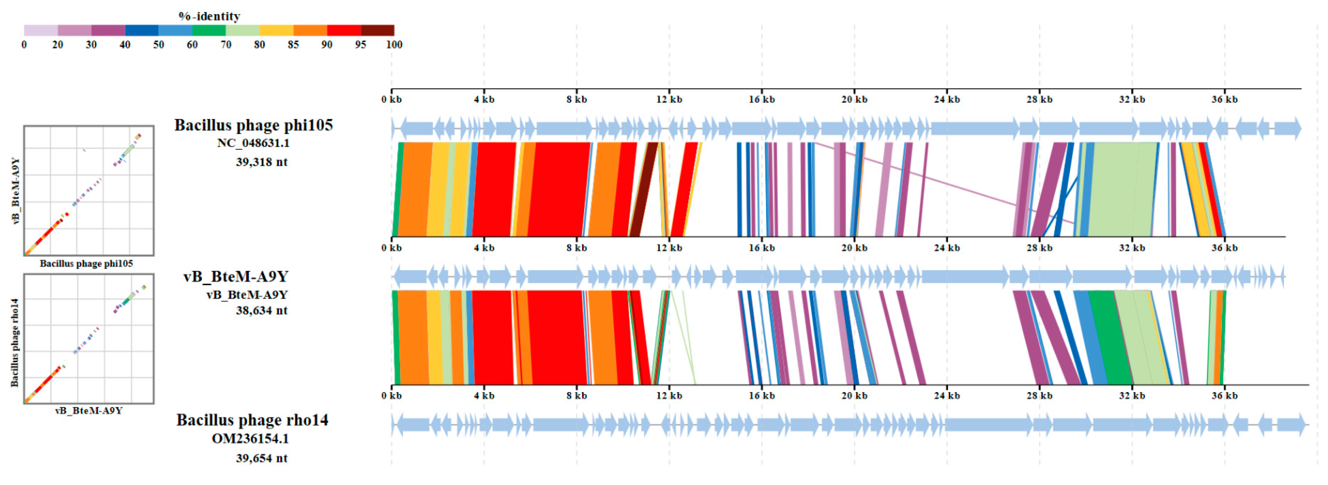 Viruses 15 01919 g007