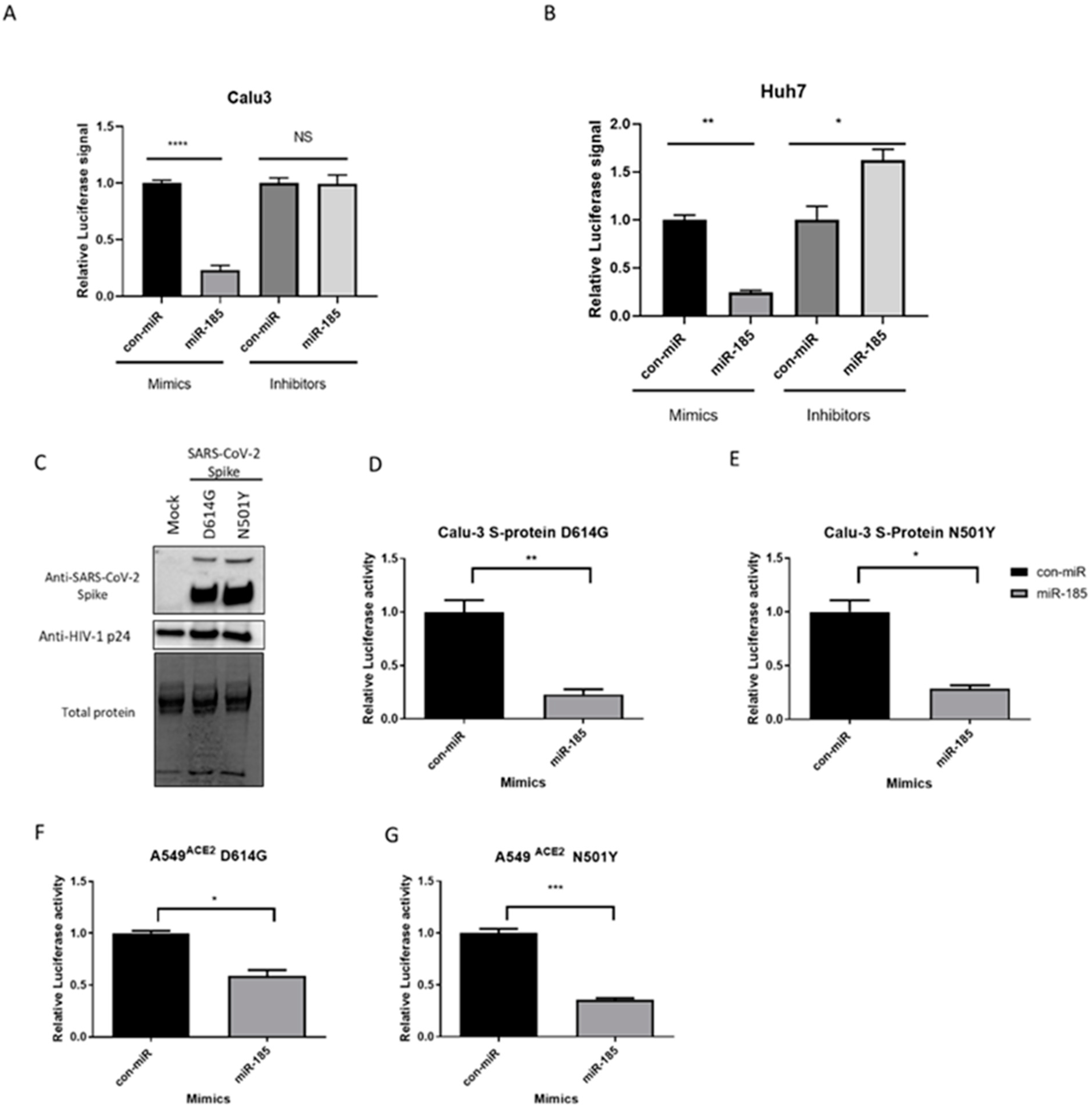 Viruses 15 01921 g002