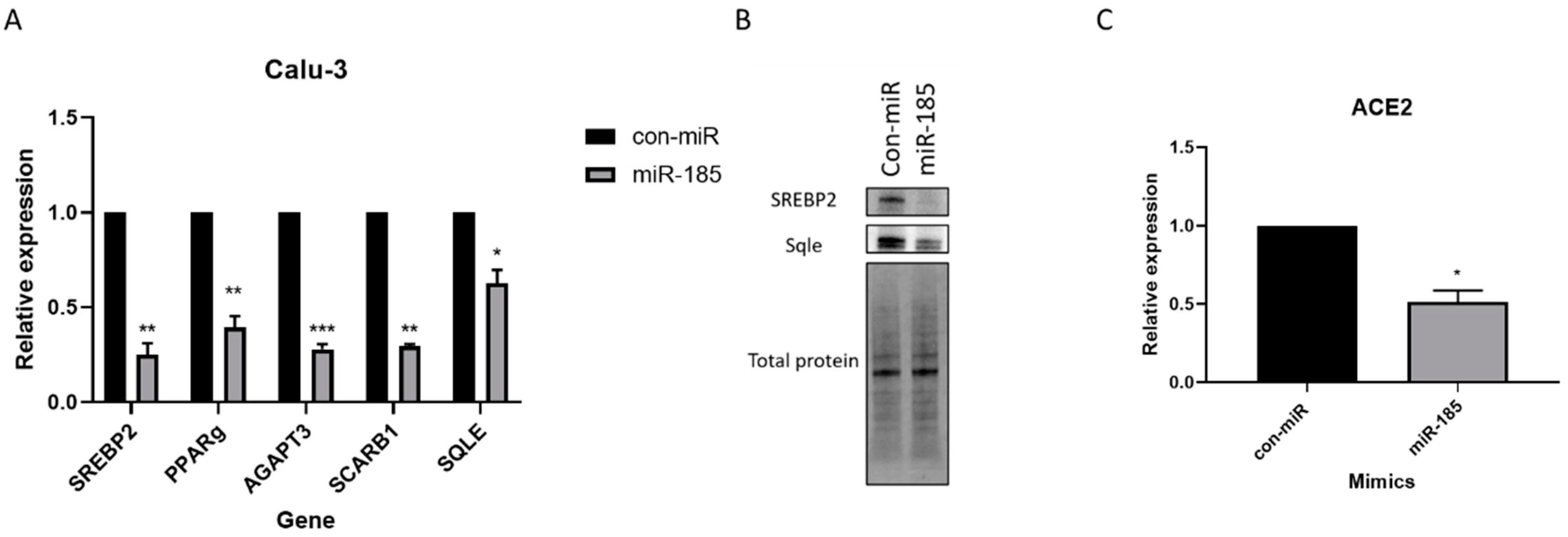 Viruses 15 01921 g004