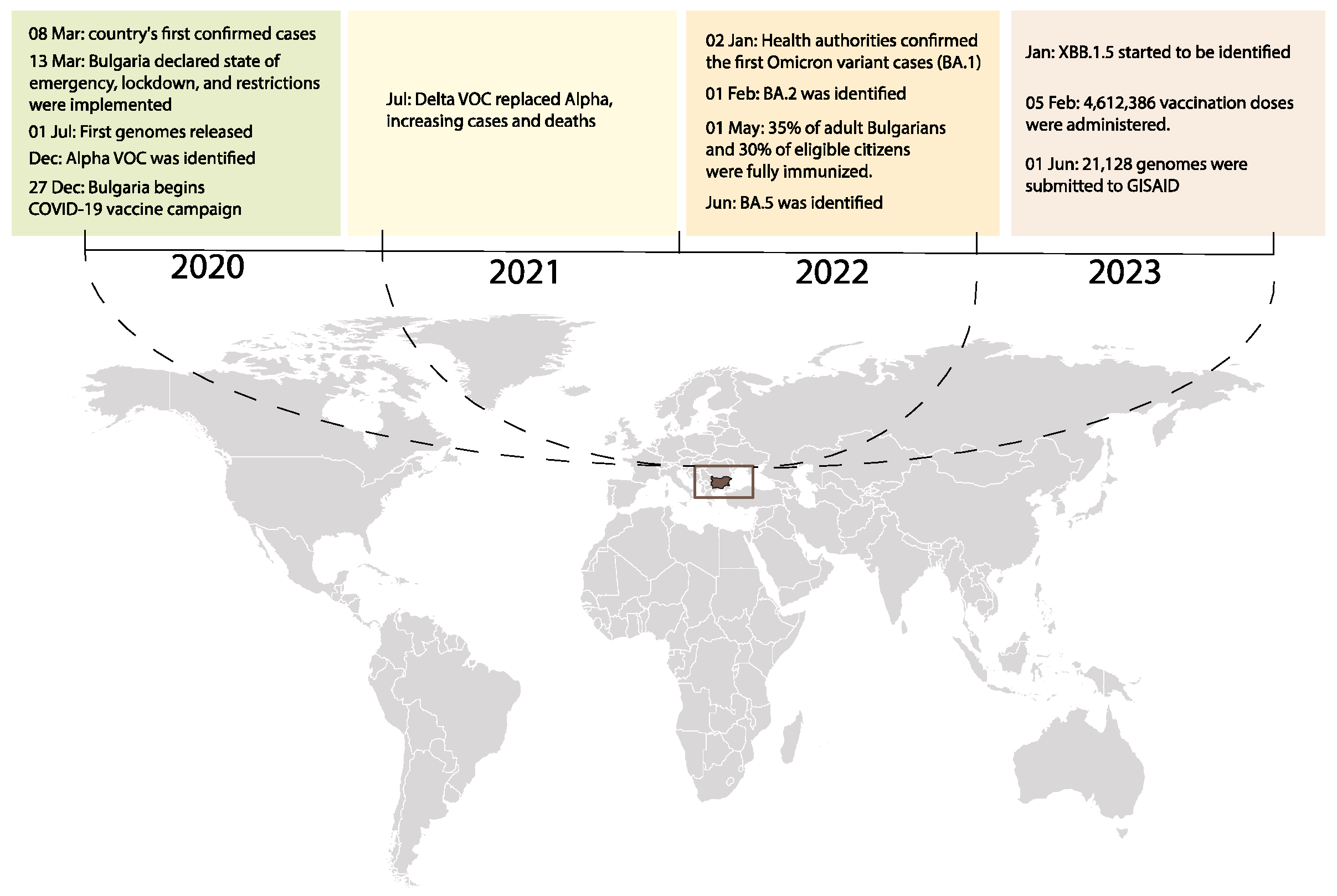 Viruses 15 01924 g001
