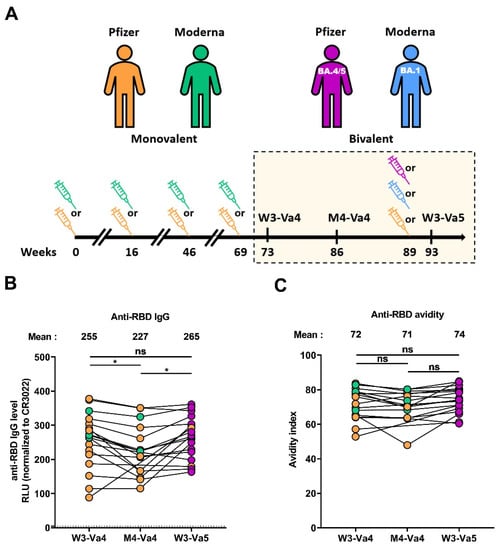 Viruses 15 01926 g001