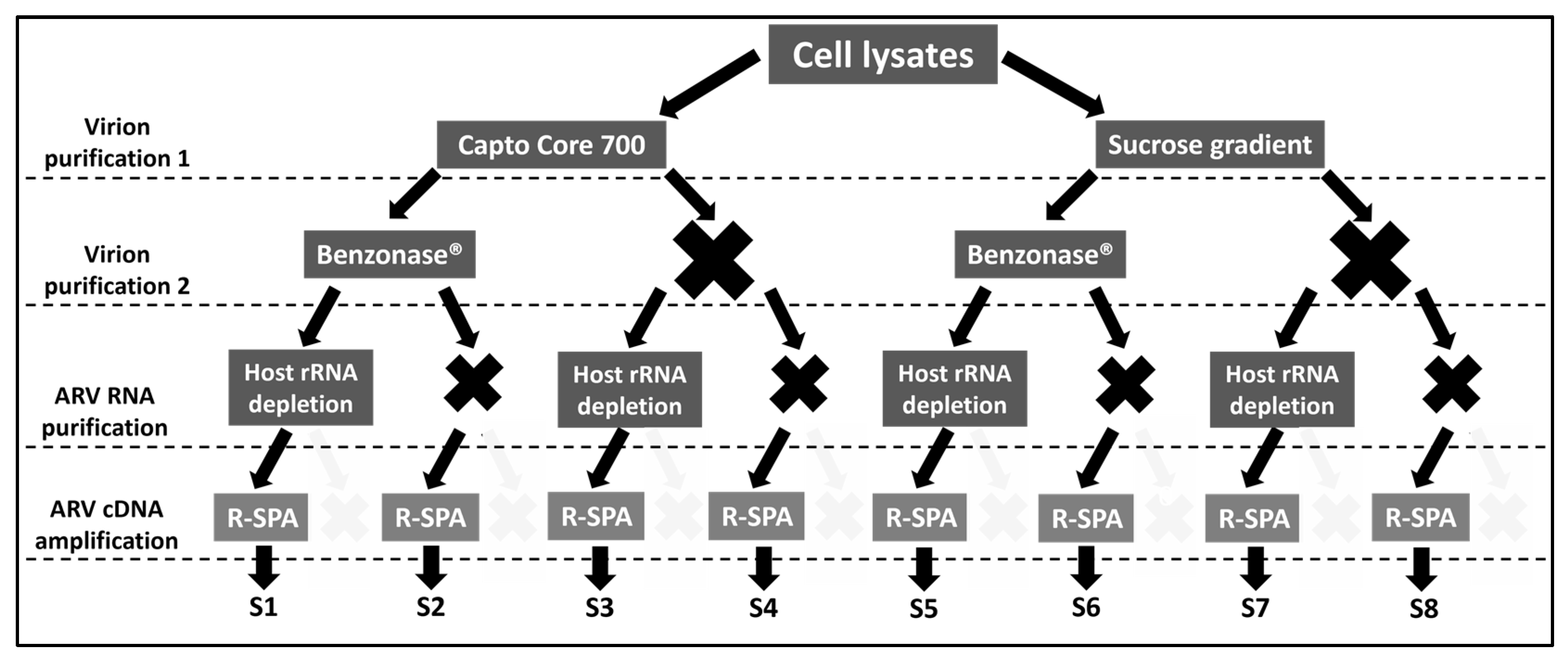Viruses 15 01938 g002