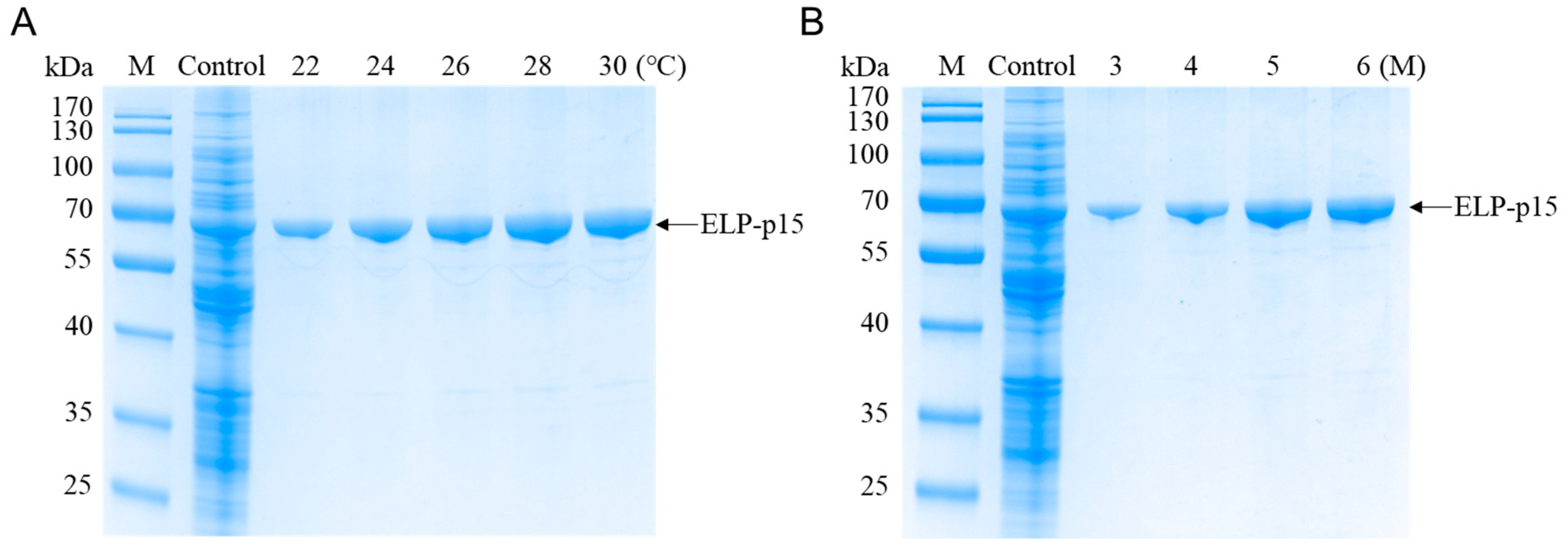 Viruses 15 01939 g003