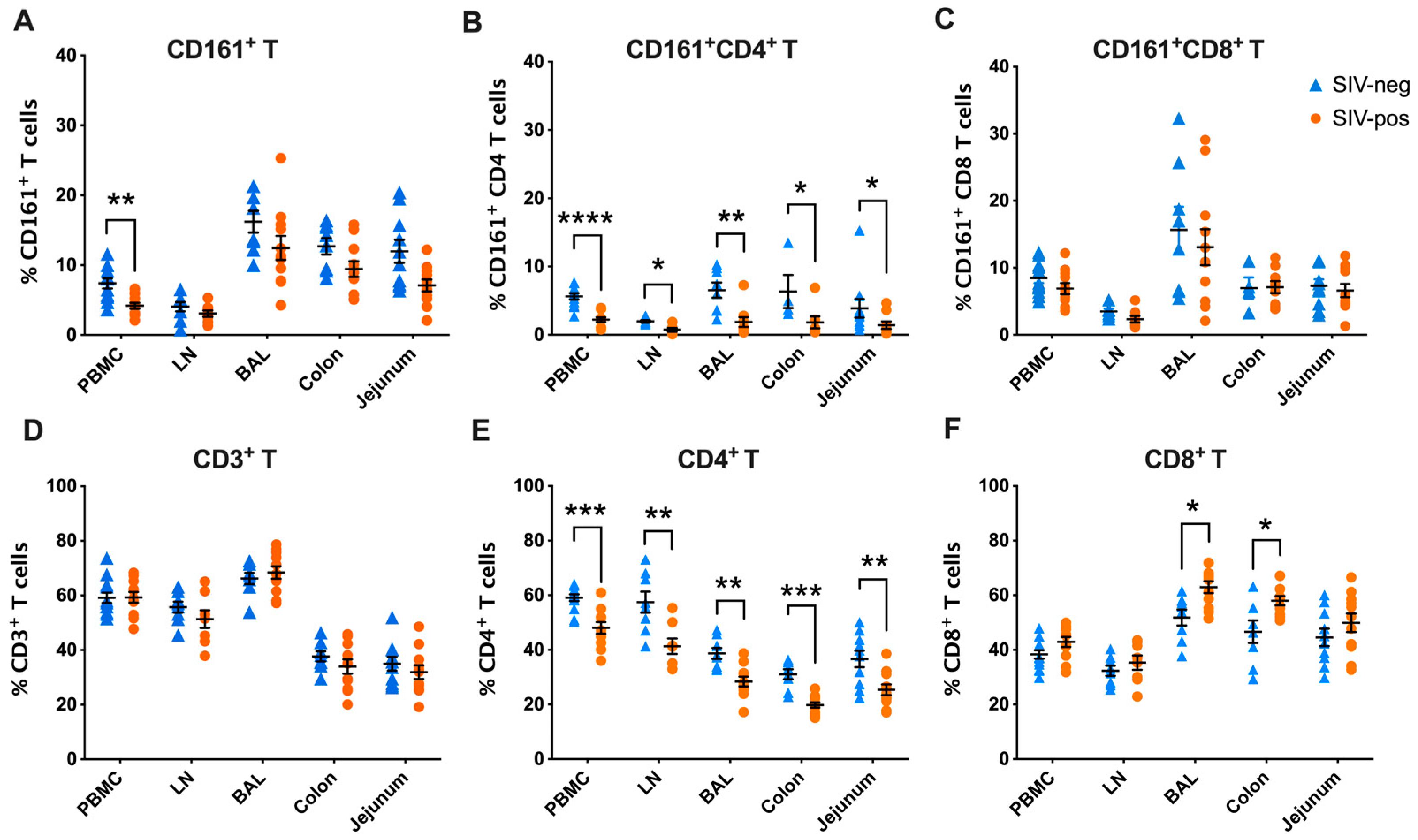 Viruses 15 01944 g004