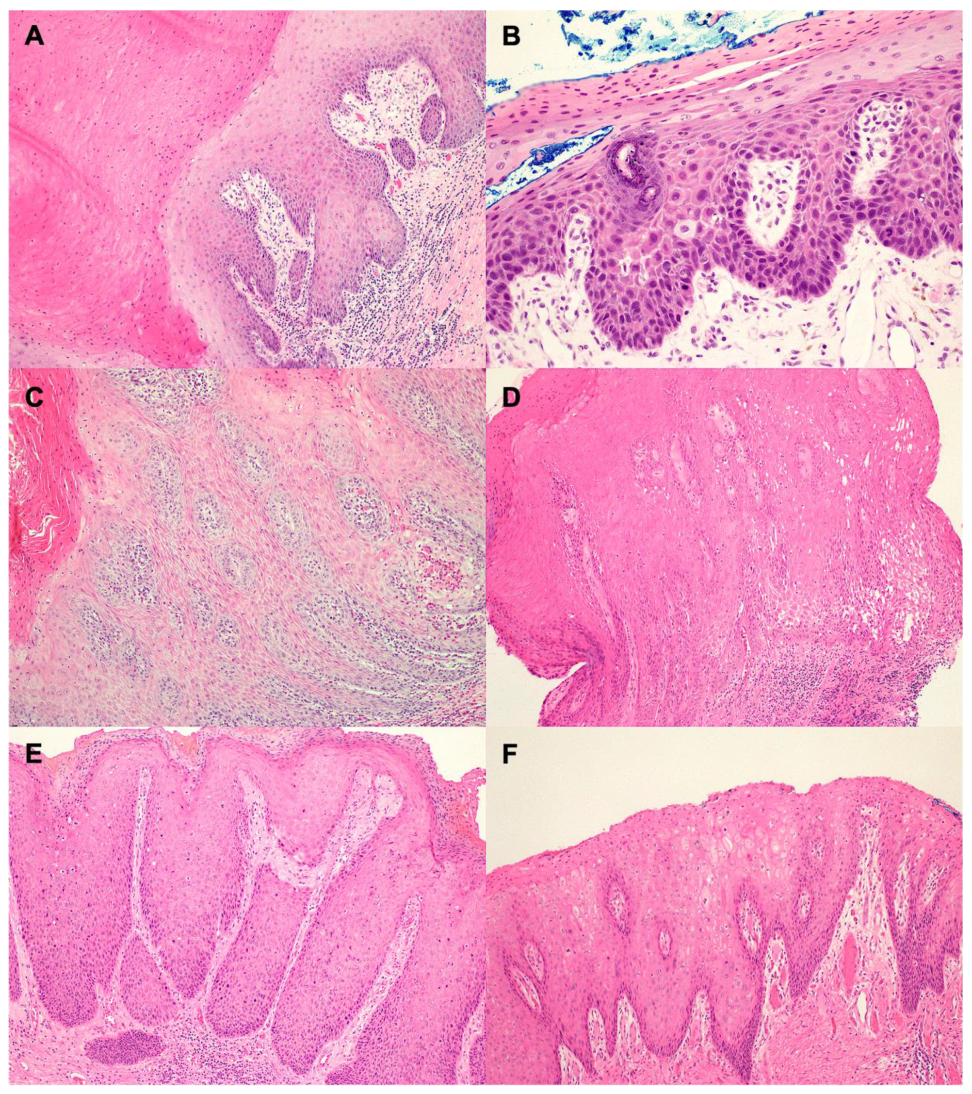 Viruses 15 01950 g002