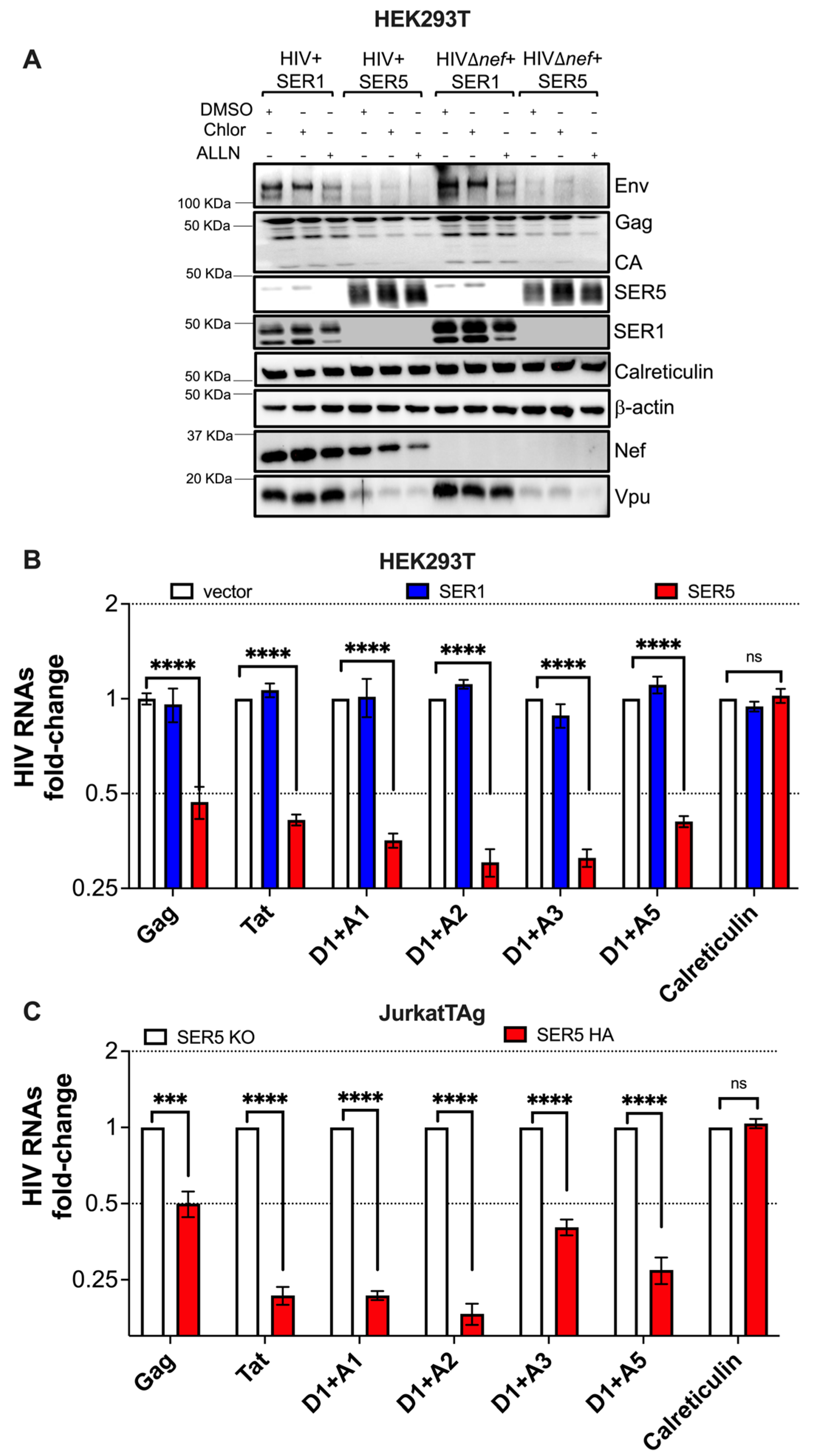 Viruses 15 01961 g005