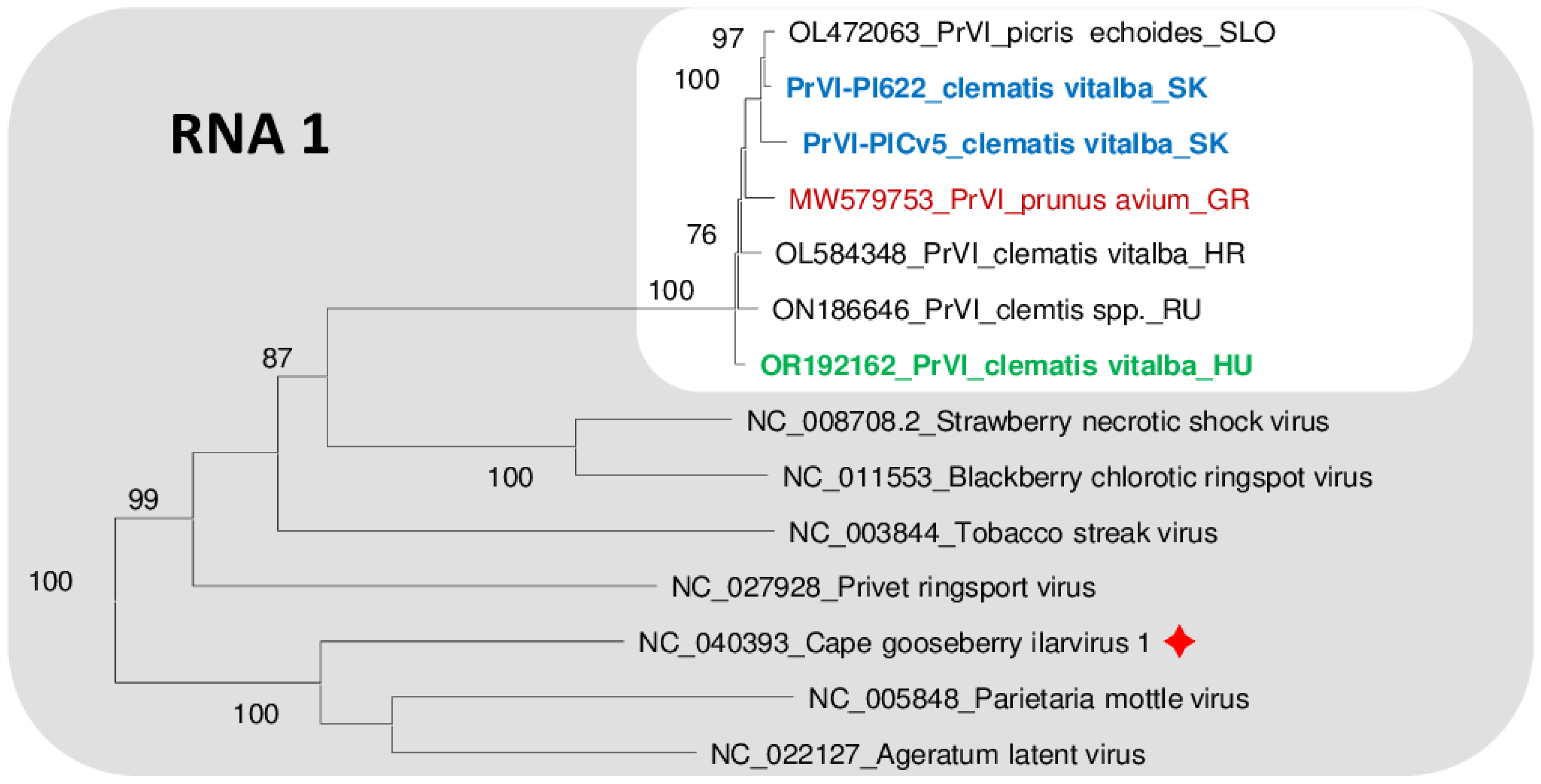 Viruses 15 01964 g005