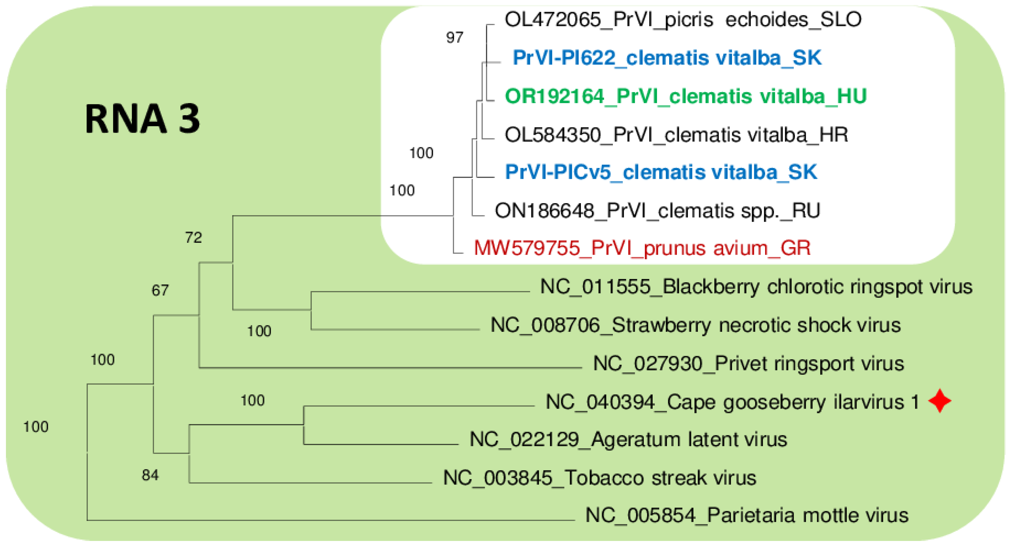 Viruses 15 01964 g007