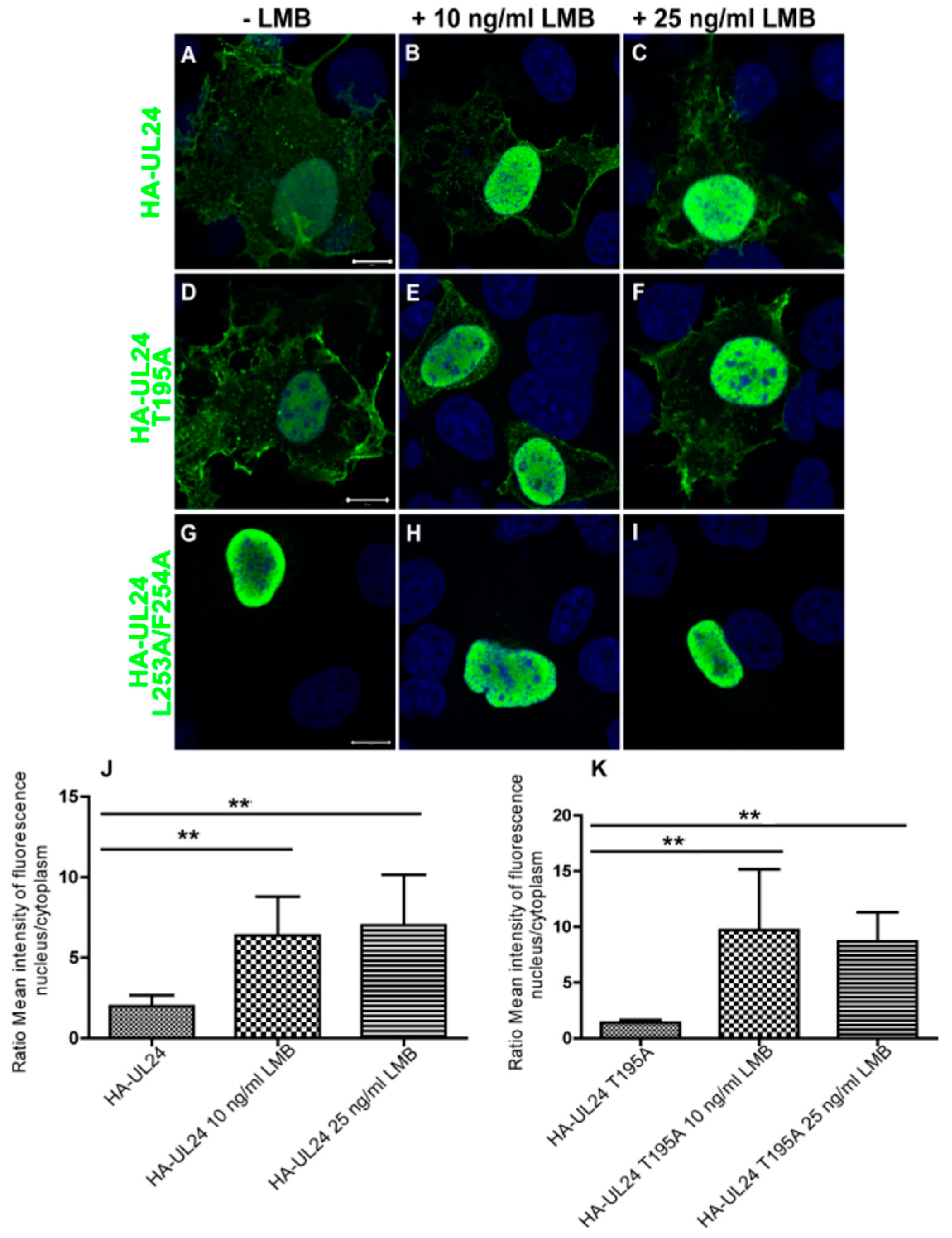 Viruses 15 01971 g005
