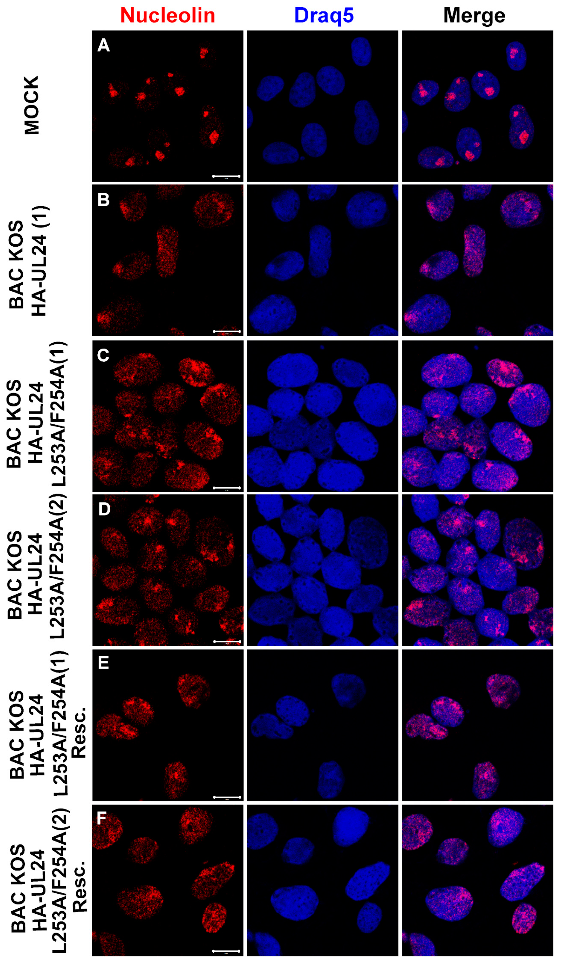 Viruses 15 01971 g010