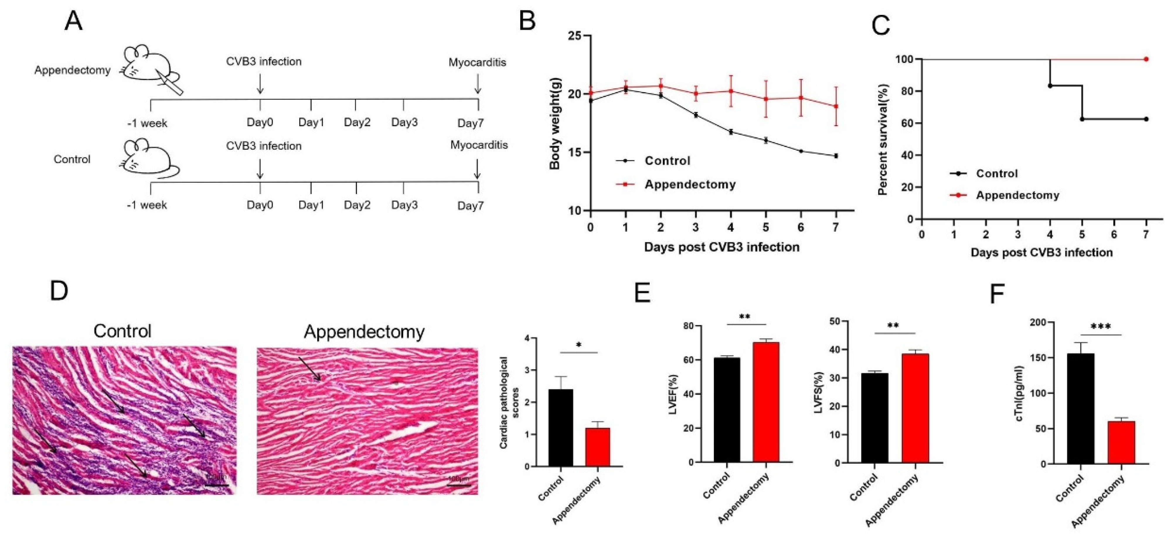 Viruses 15 01974 g001