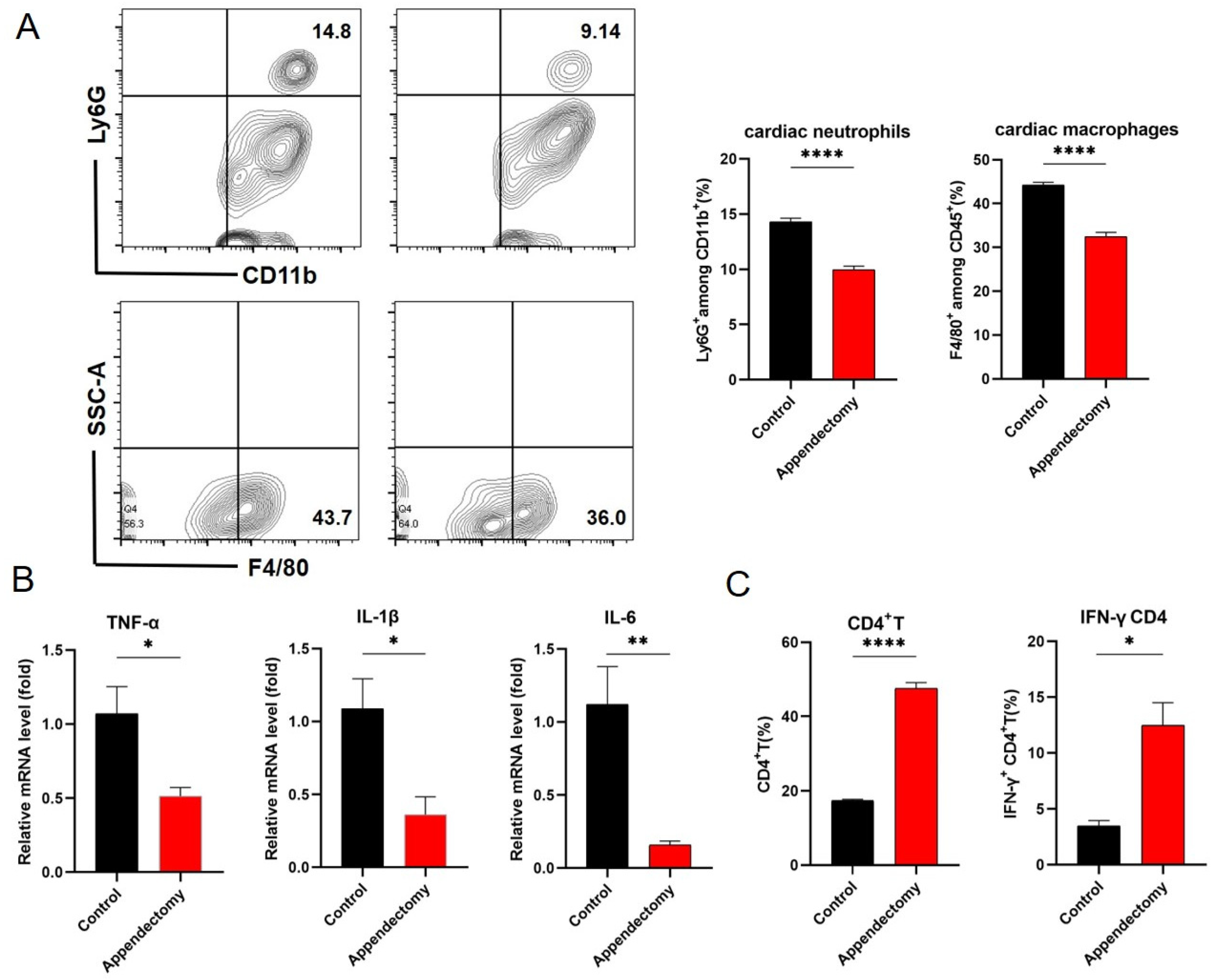 Viruses 15 01974 g003