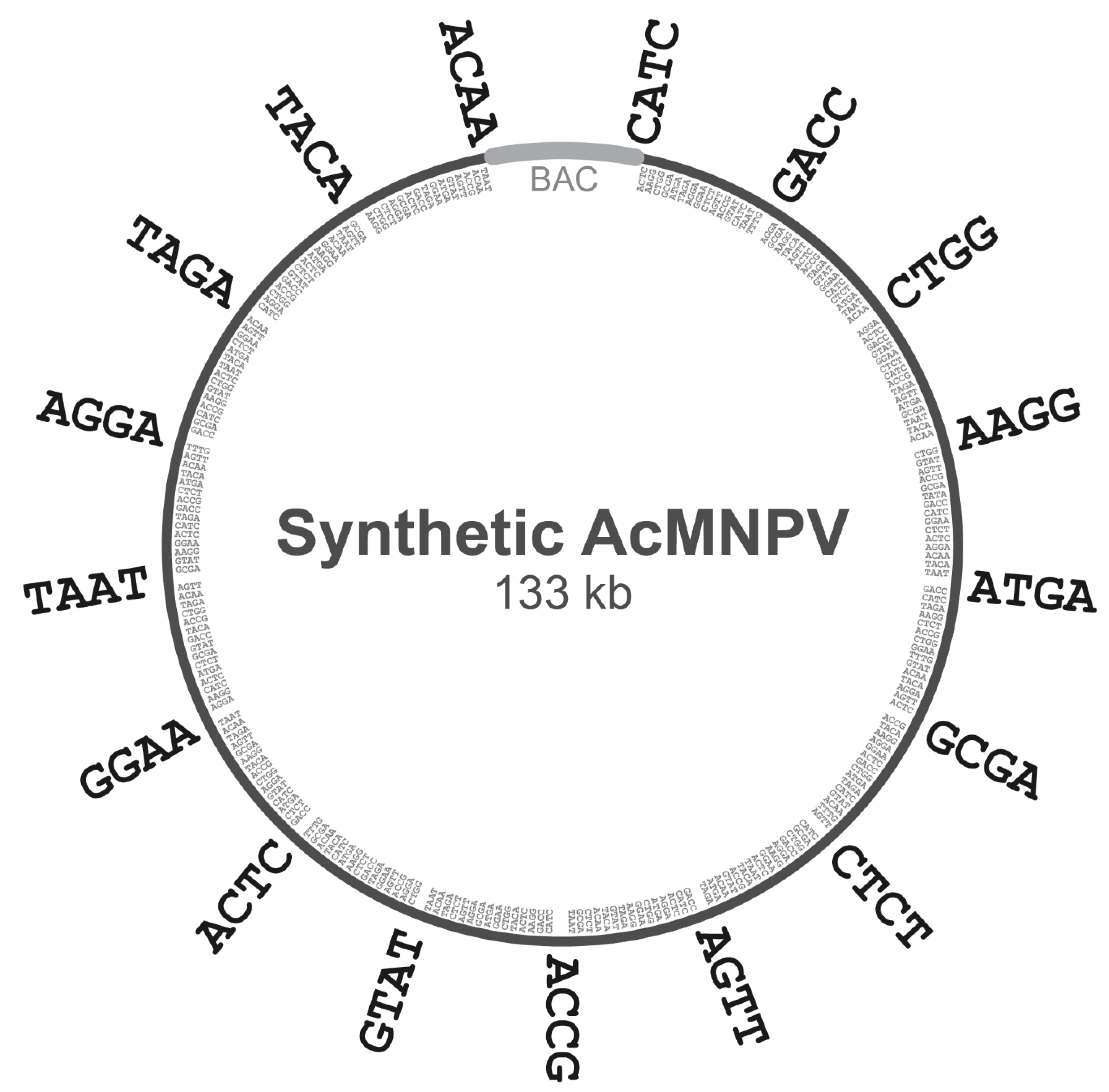 Viruses 15 01981 g002