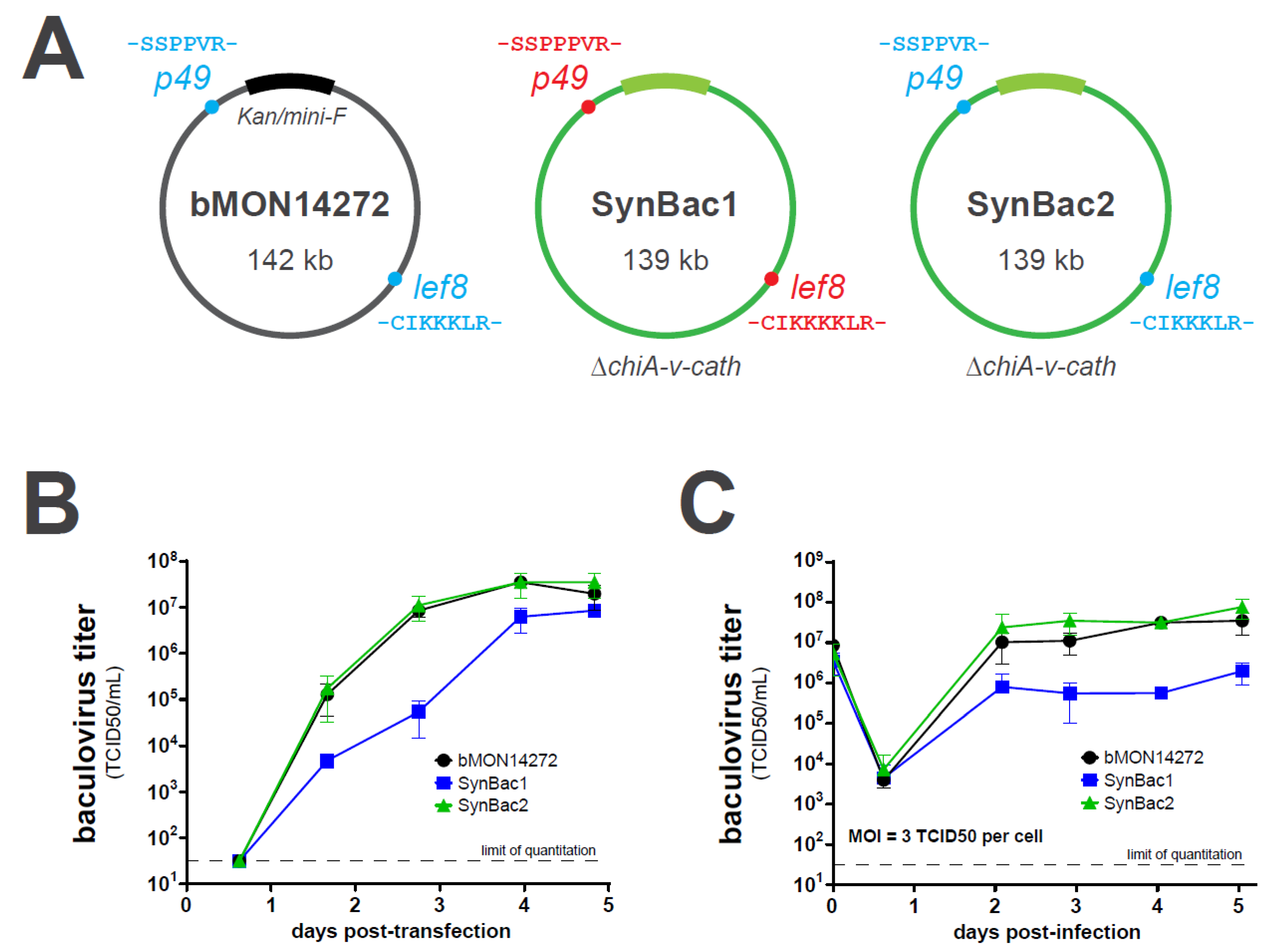 Viruses 15 01981 g007