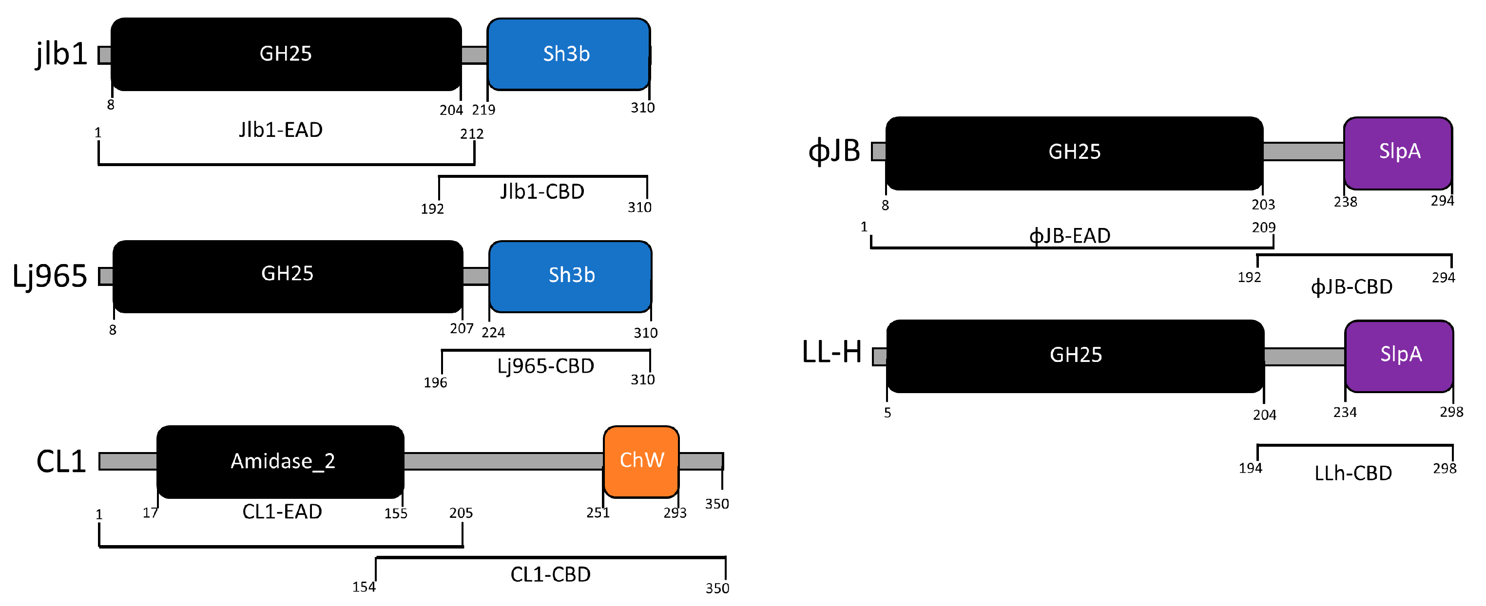 Viruses 15 01986 g001