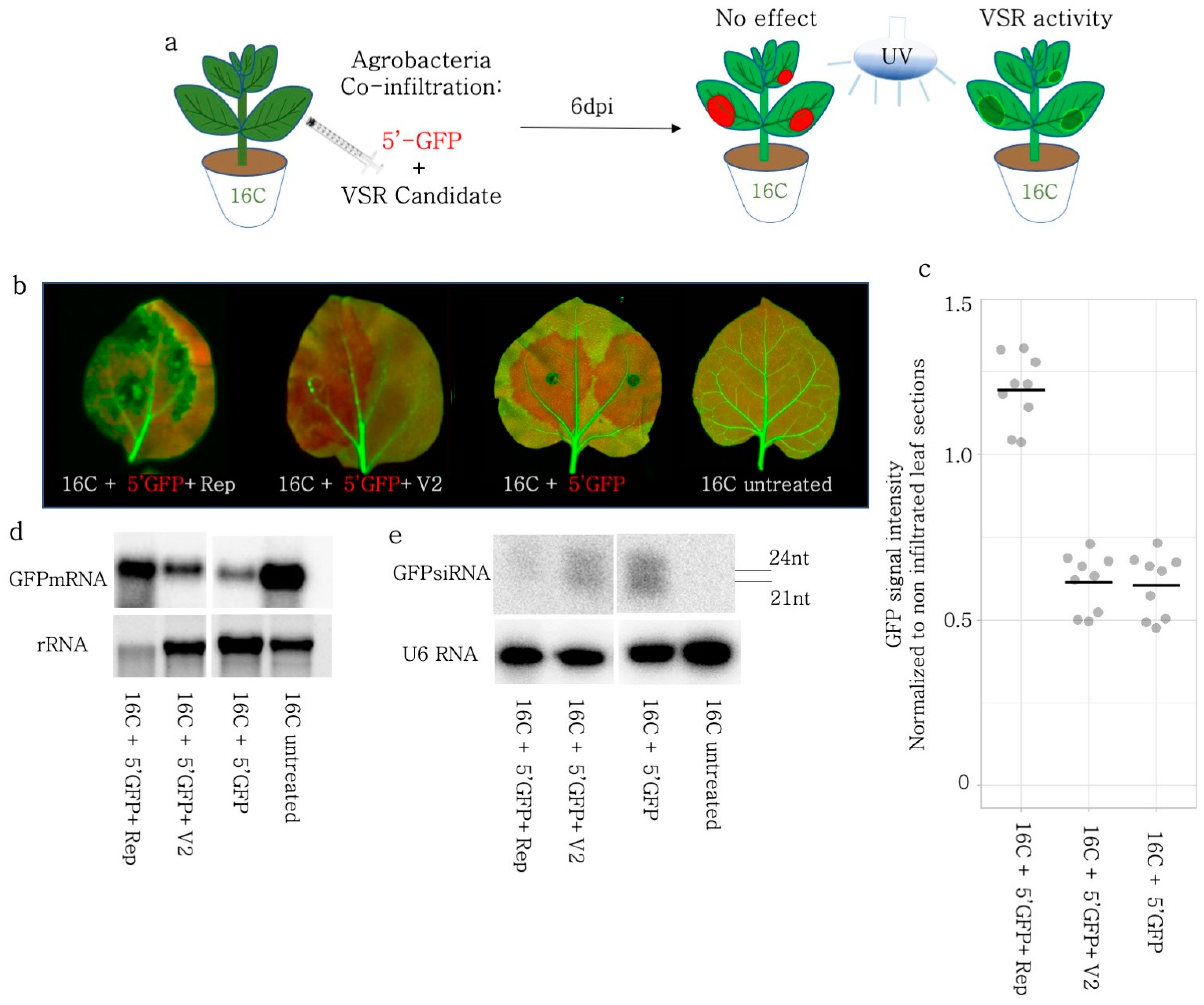 Viruses 15 01996 g003