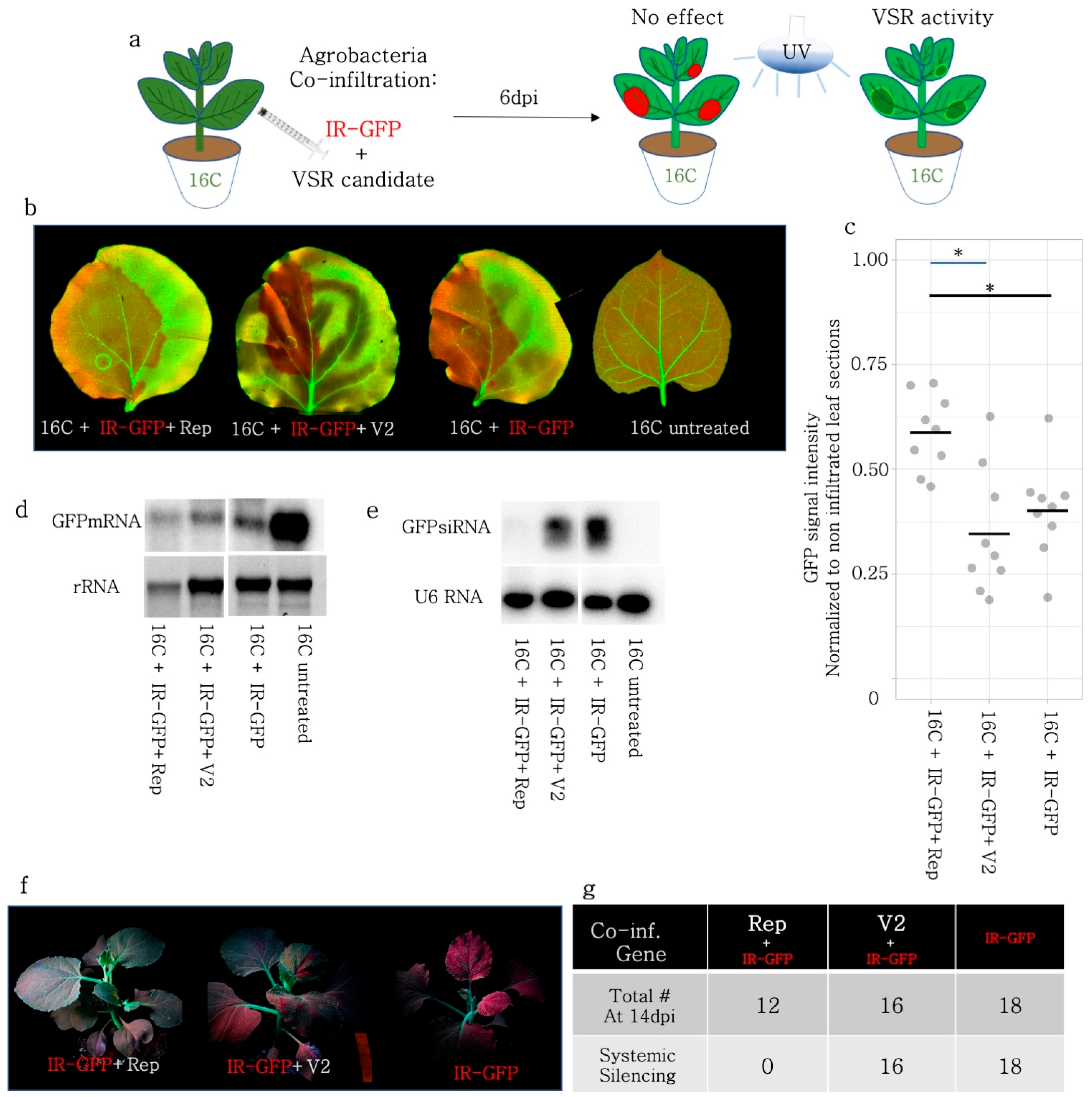 Viruses 15 01996 g004