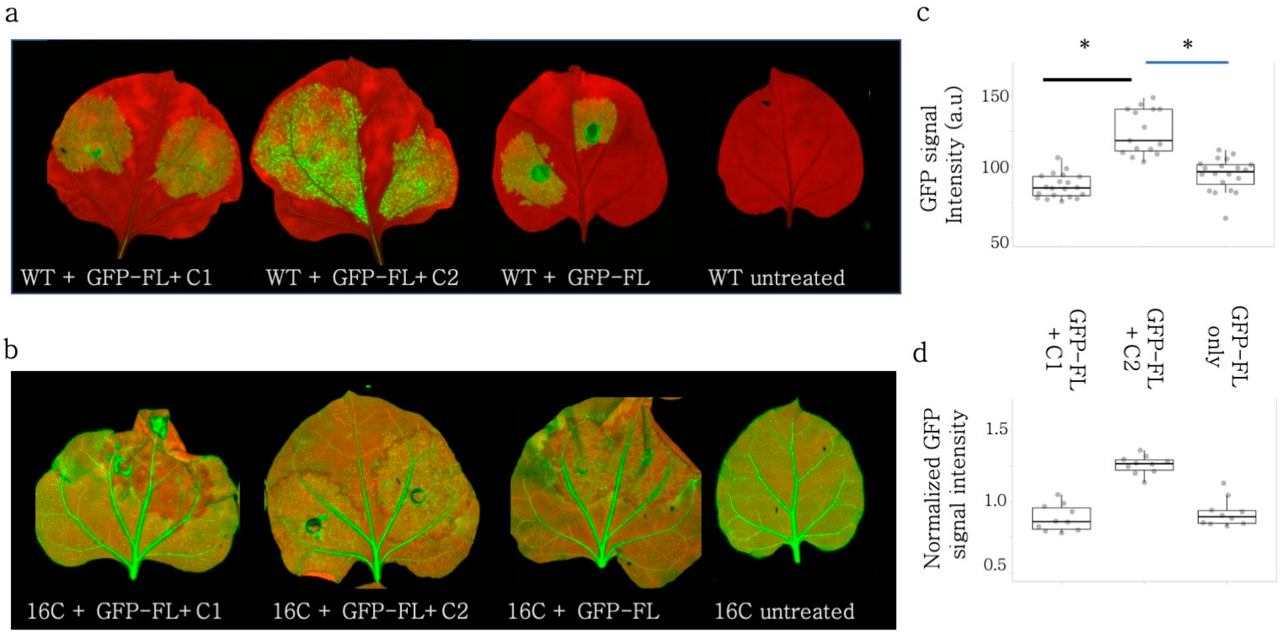 Viruses 15 01996 g005