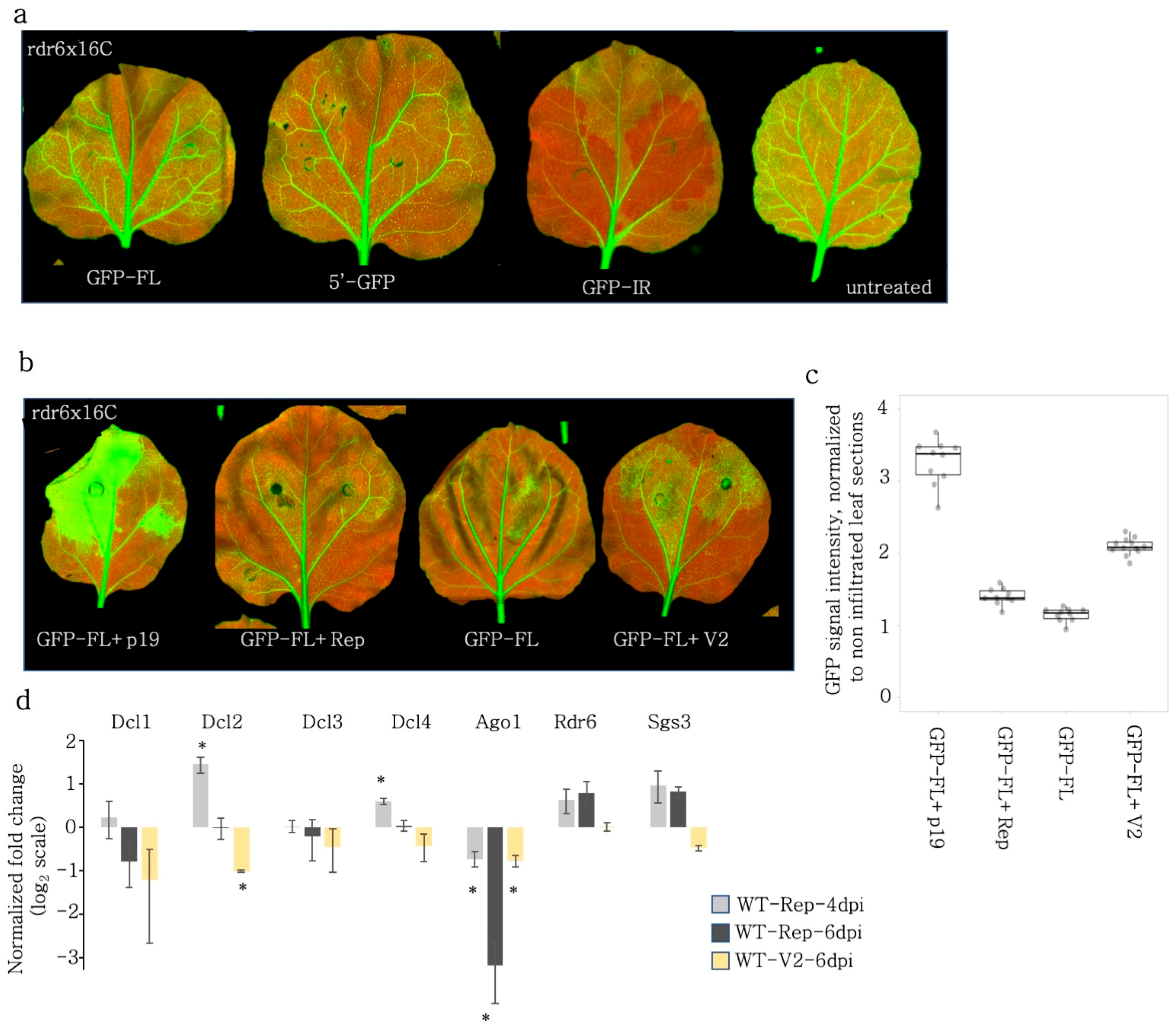 Viruses 15 01996 g006